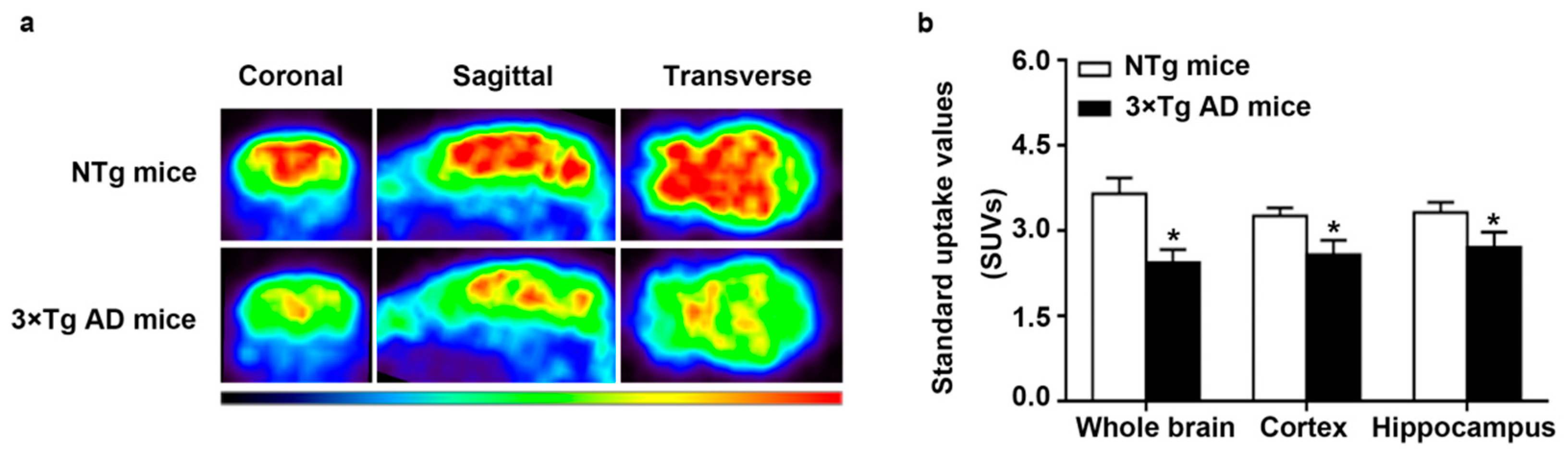 Ijms 22 01306 g001 Ijms 22 01306 g001