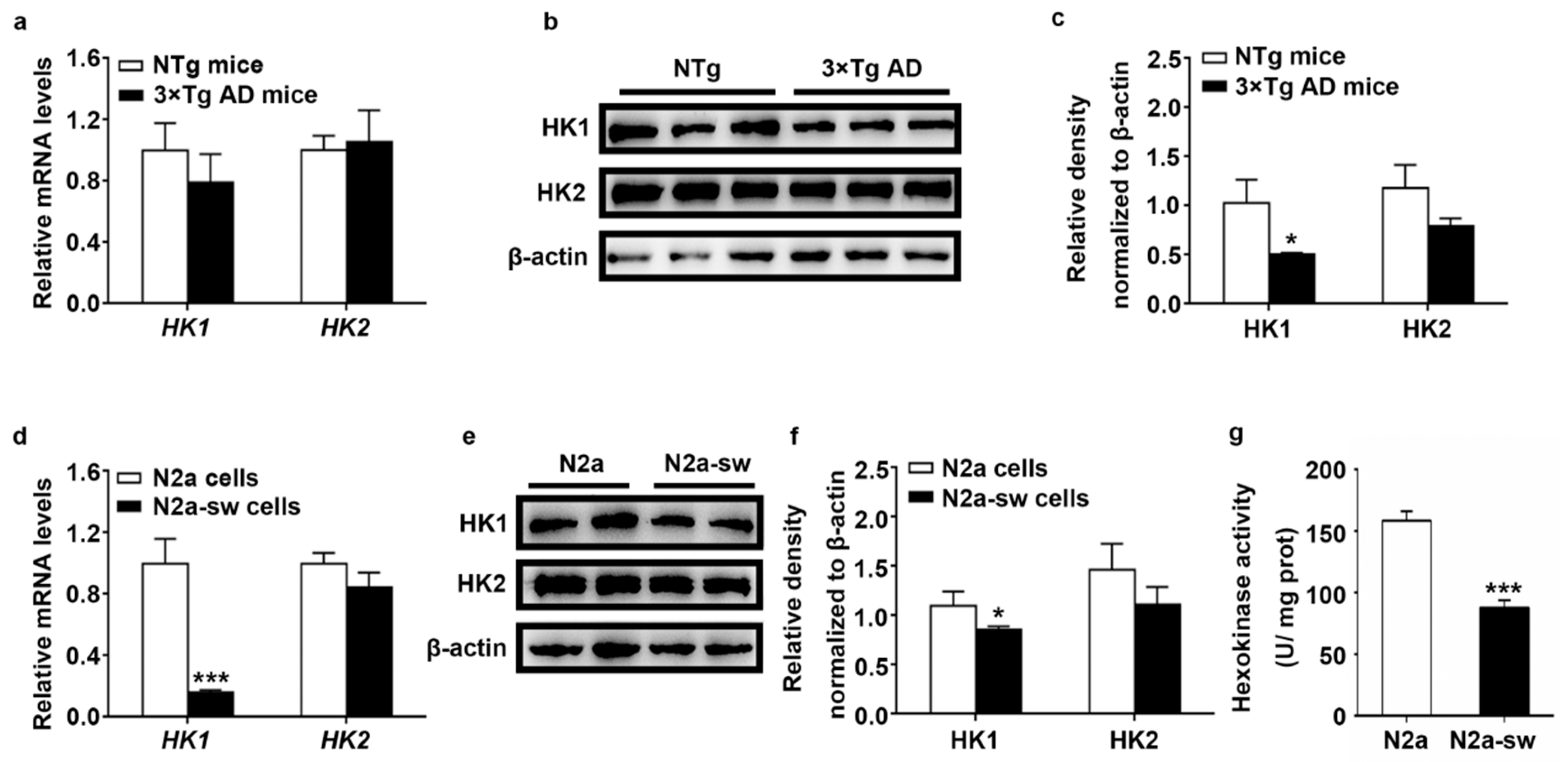 Ijms 22 01306 g002 Ijms 22 01306 g002
