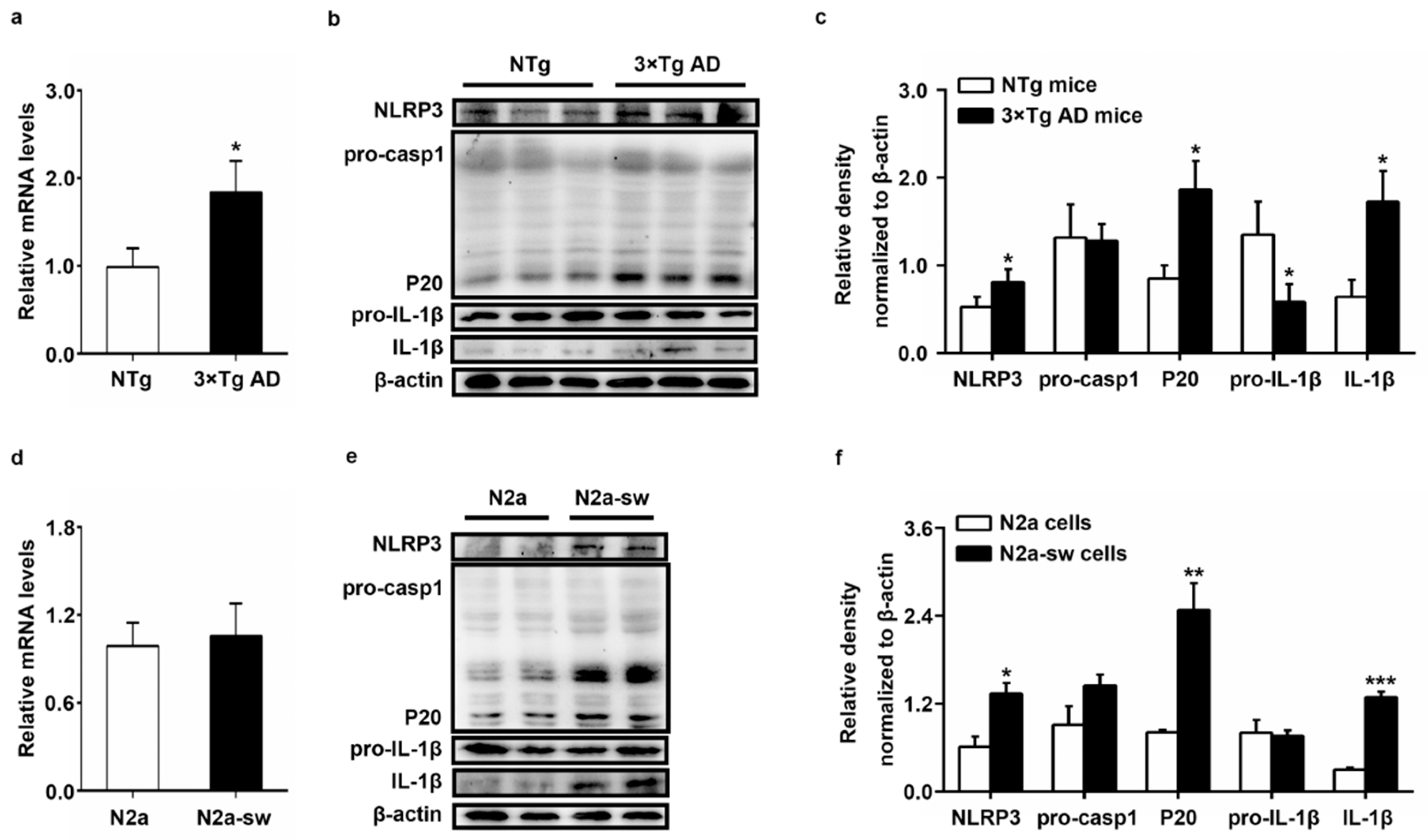 Ijms 22 01306 g004 Ijms 22 01306 g004