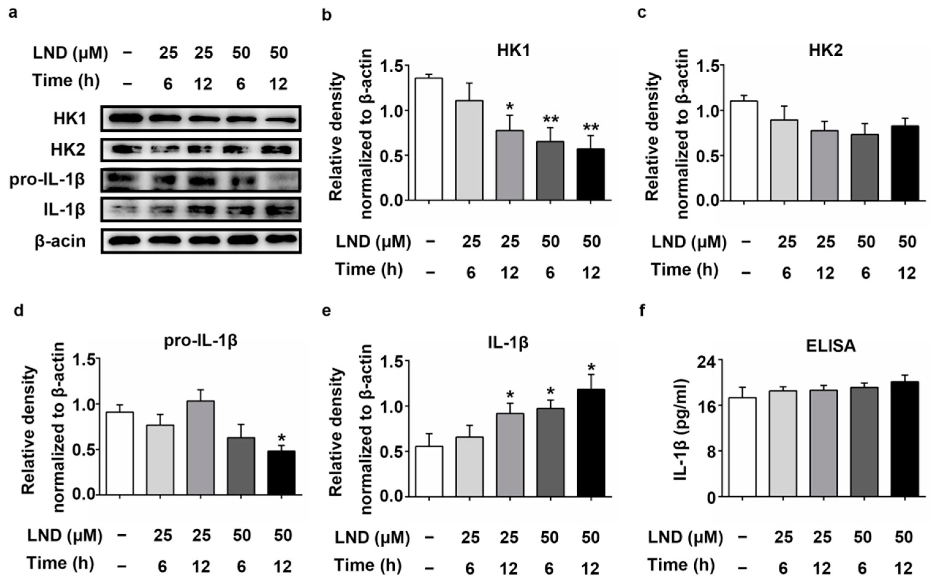 Ijms 22 01306 g005 Ijms 22 01306 g005