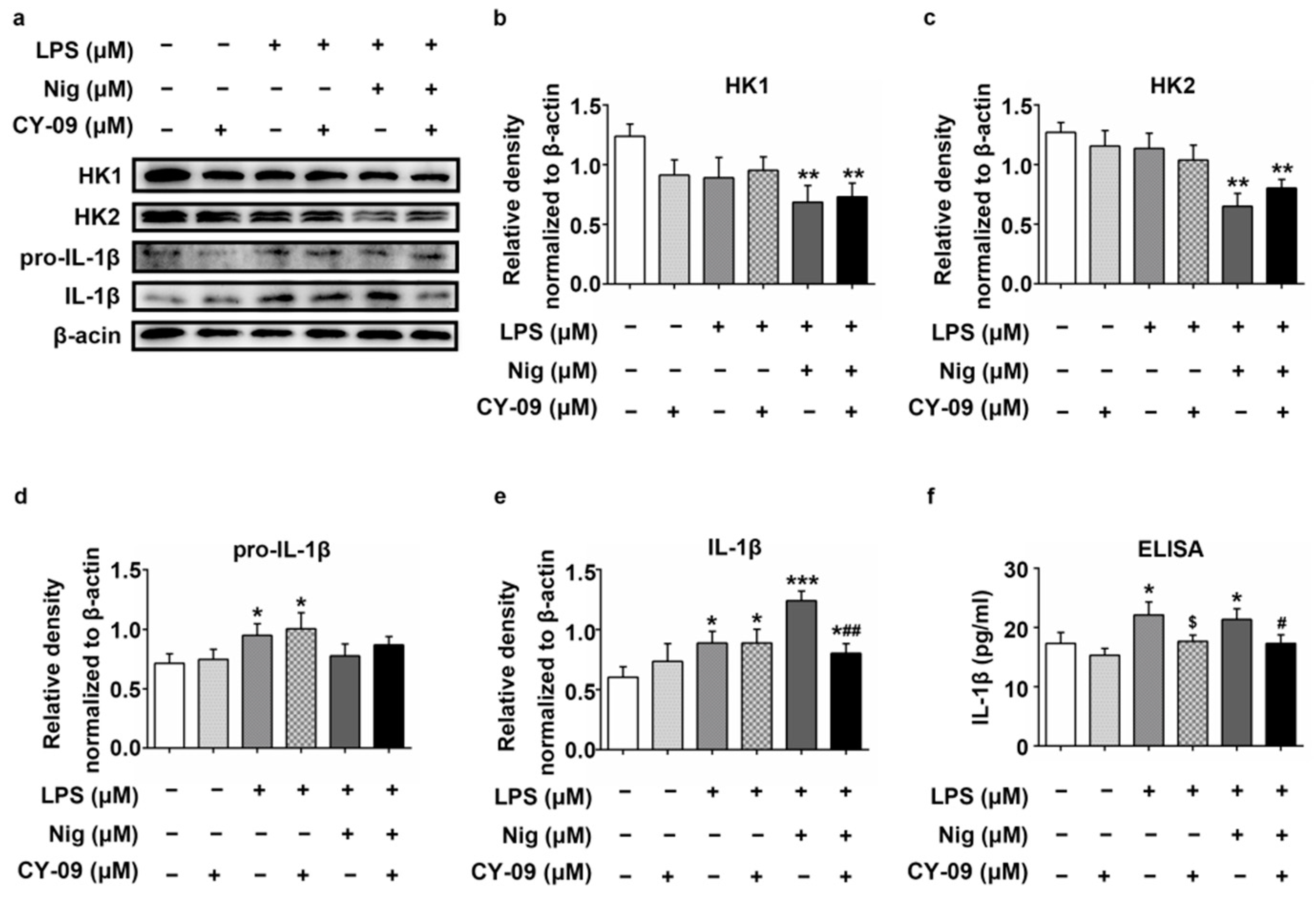 Ijms 22 01306 g006 Ijms 22 01306 g006