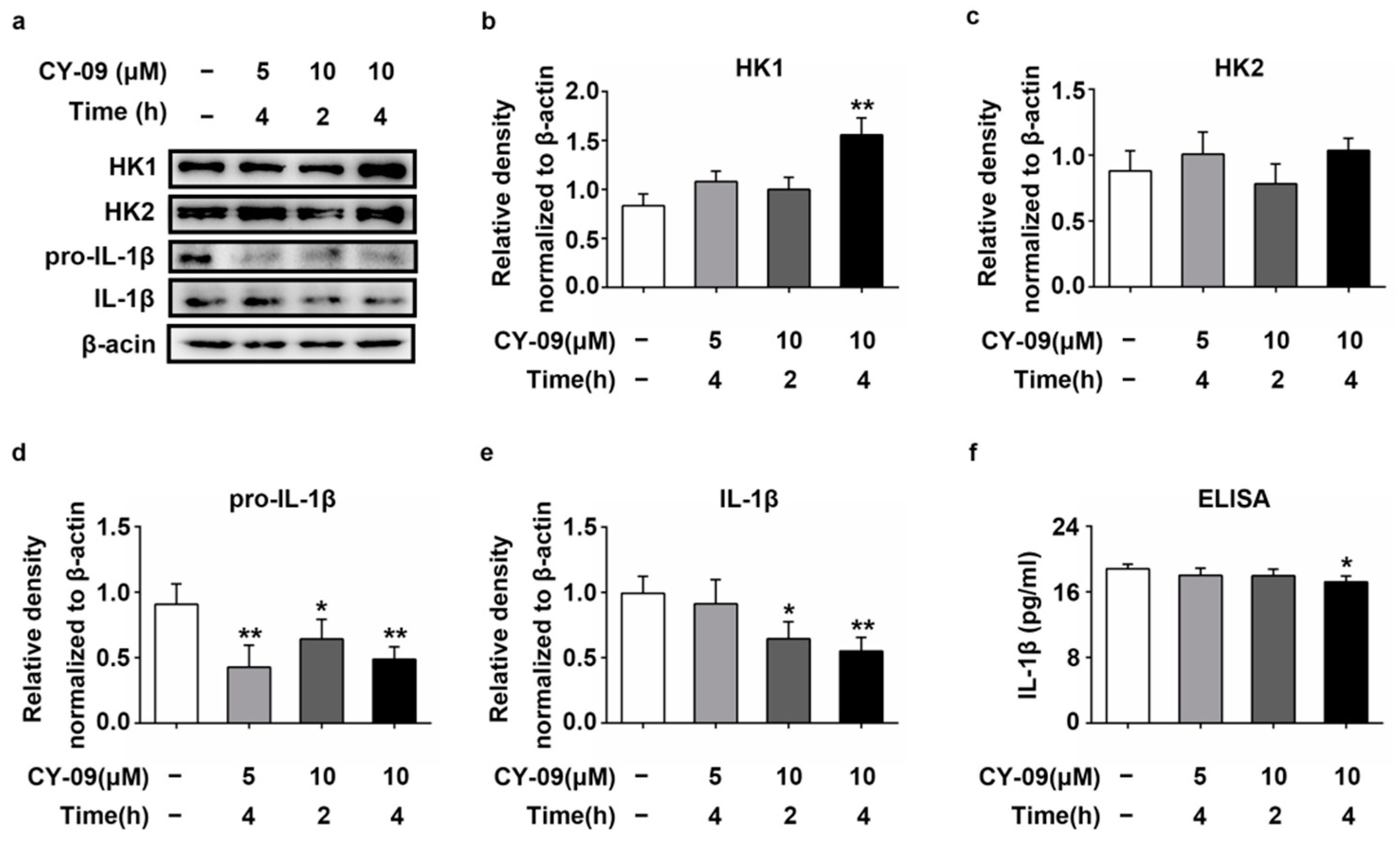 Ijms 22 01306 g007 Ijms 22 01306 g007