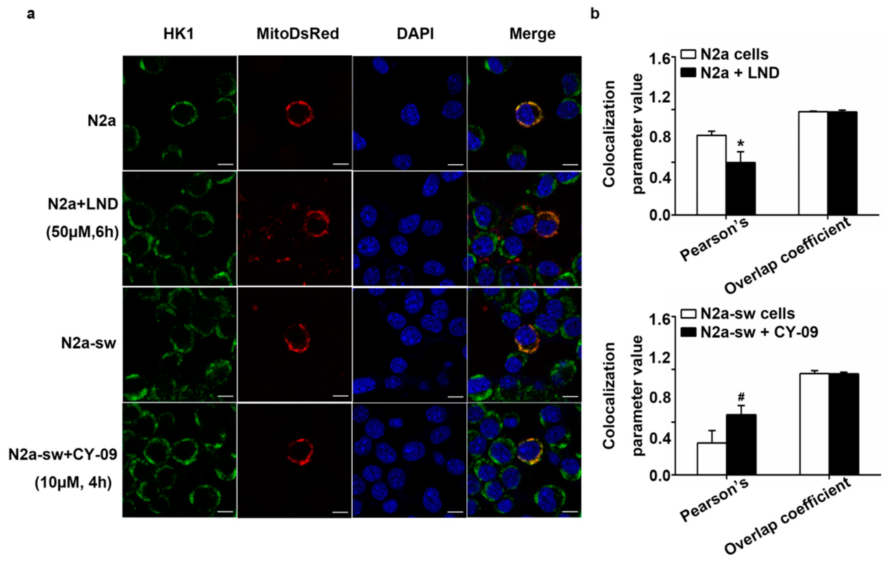 Ijms 22 01306 g008 Ijms 22 01306 g008