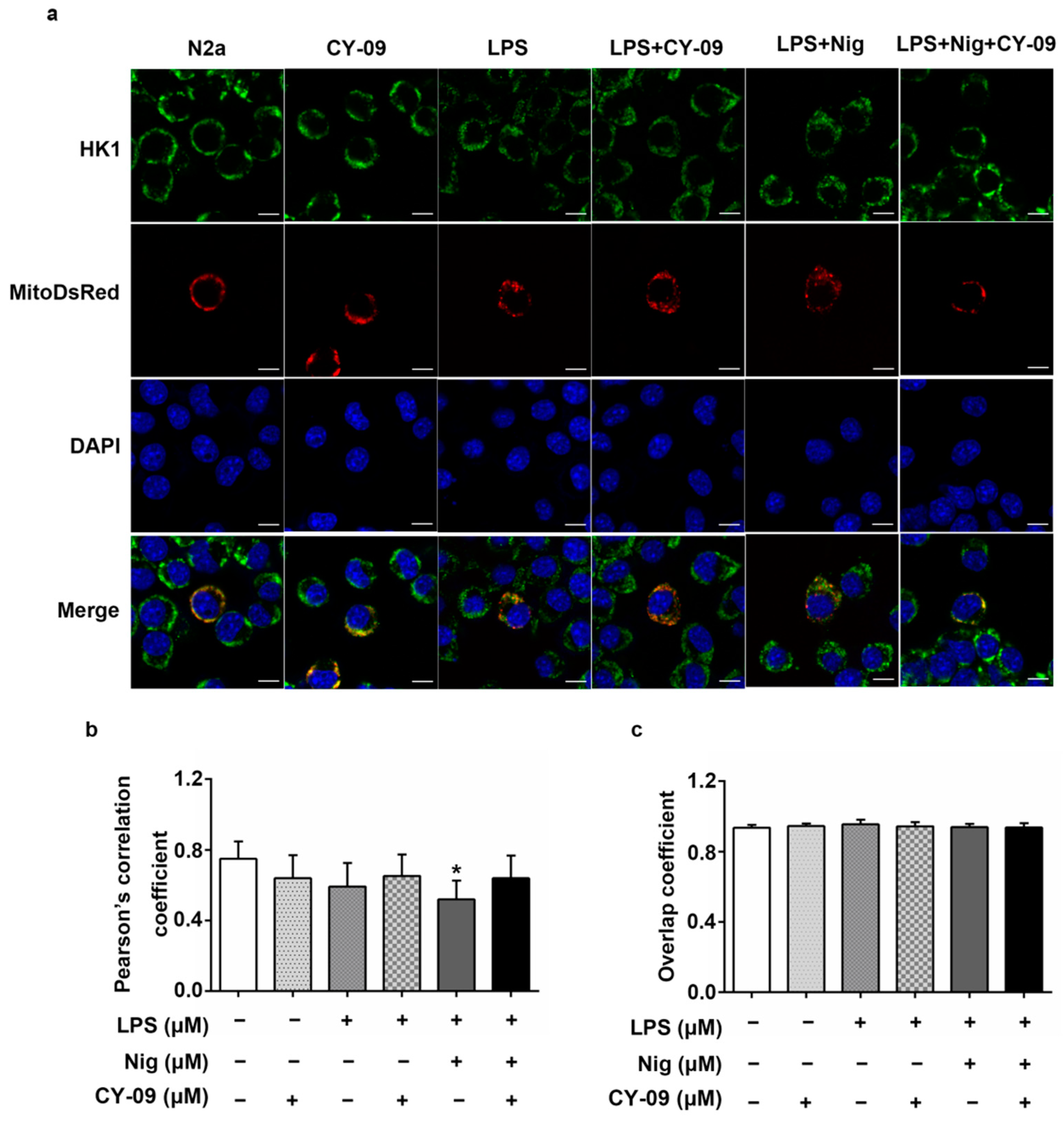 Ijms 22 01306 g009 Ijms 22 01306 g009