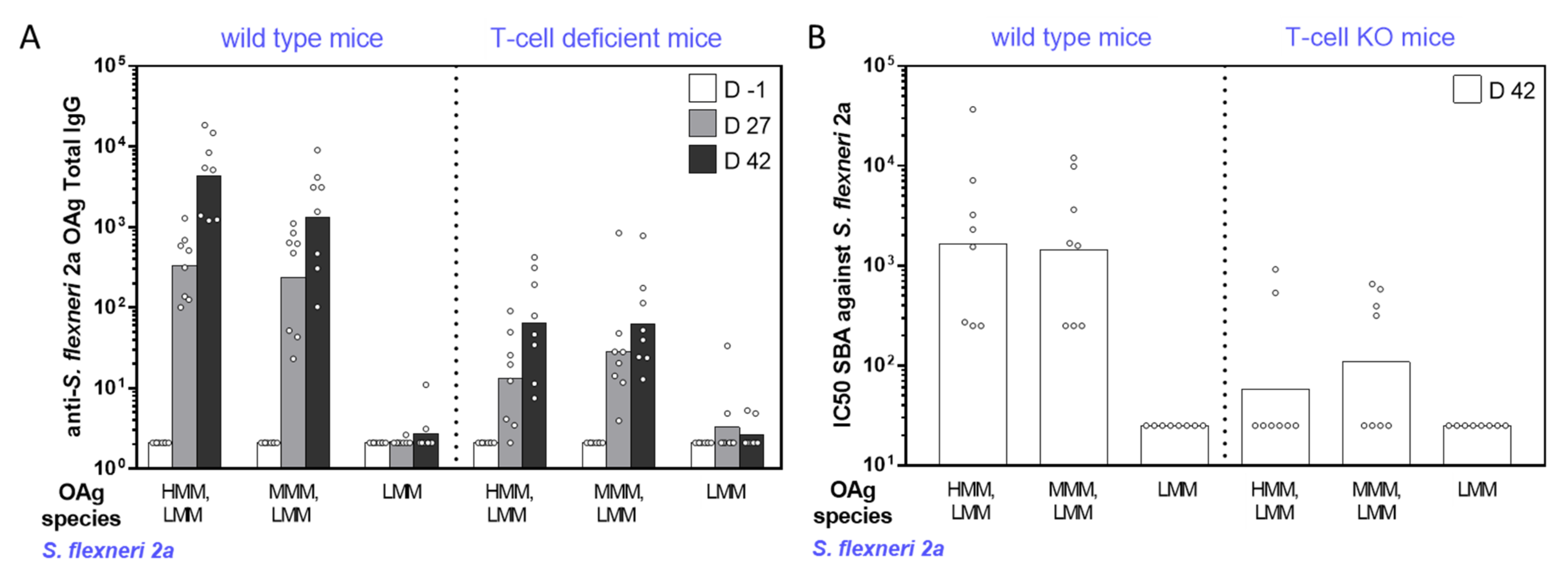 Ijms 22 01309 g003 Ijms 22 01309 g003