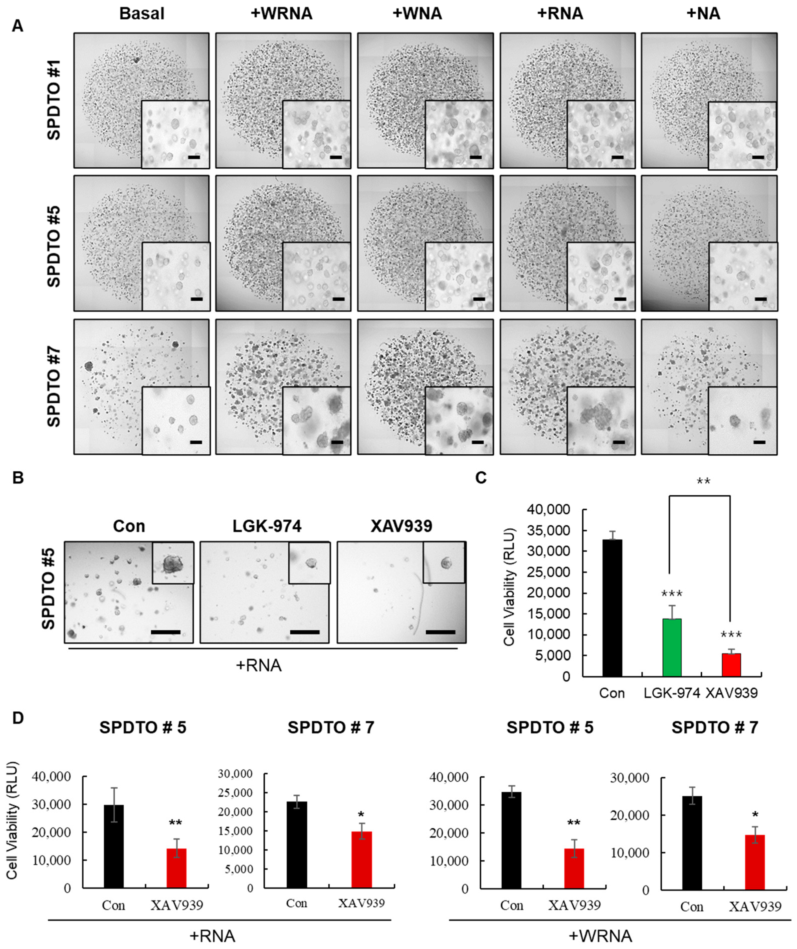 Ijms 22 01349 g002 Ijms 22 01349 g002