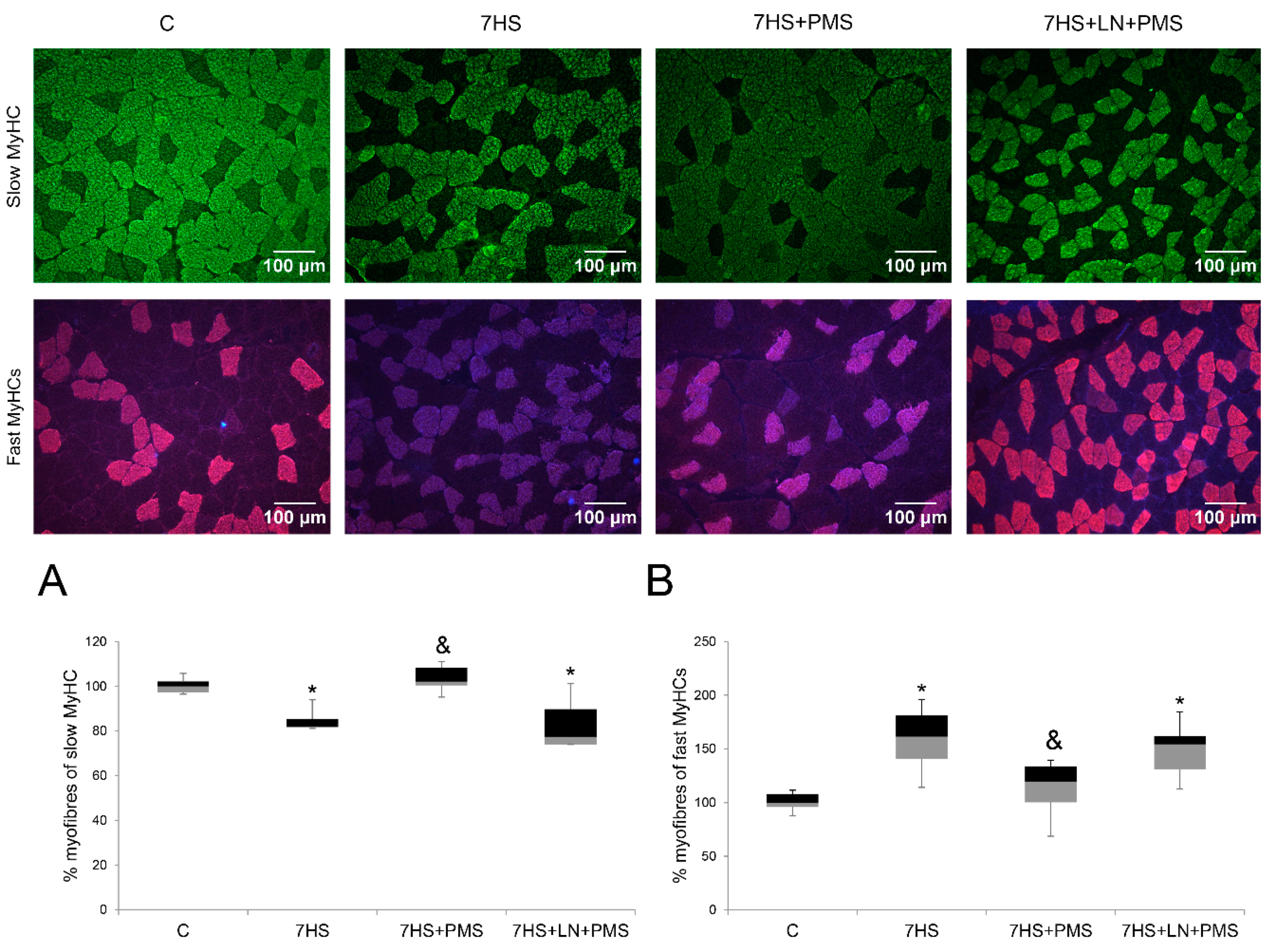 Ijms 22 01372 g002 Ijms 22 01372 g002