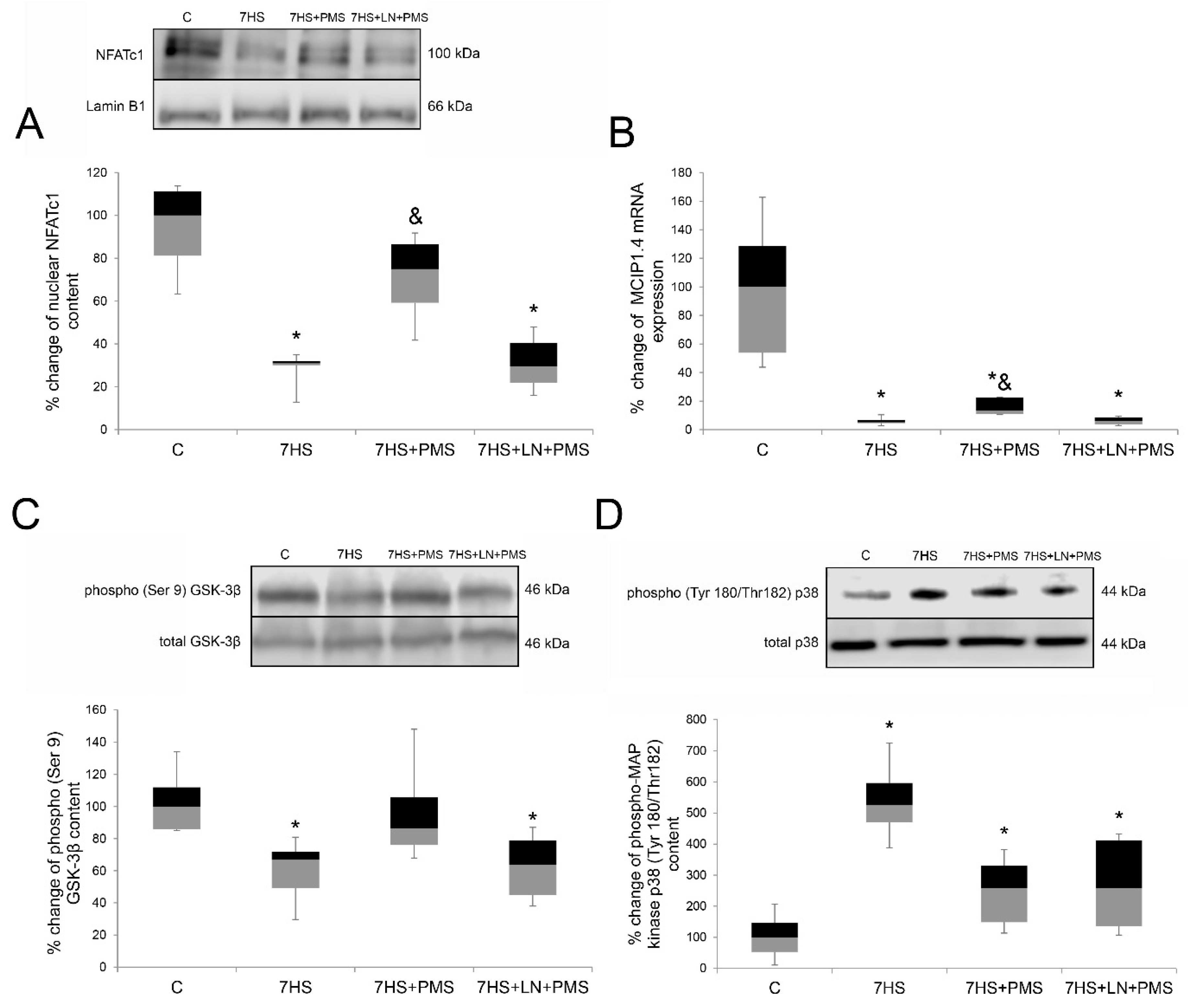 Ijms 22 01372 g005 Ijms 22 01372 g005