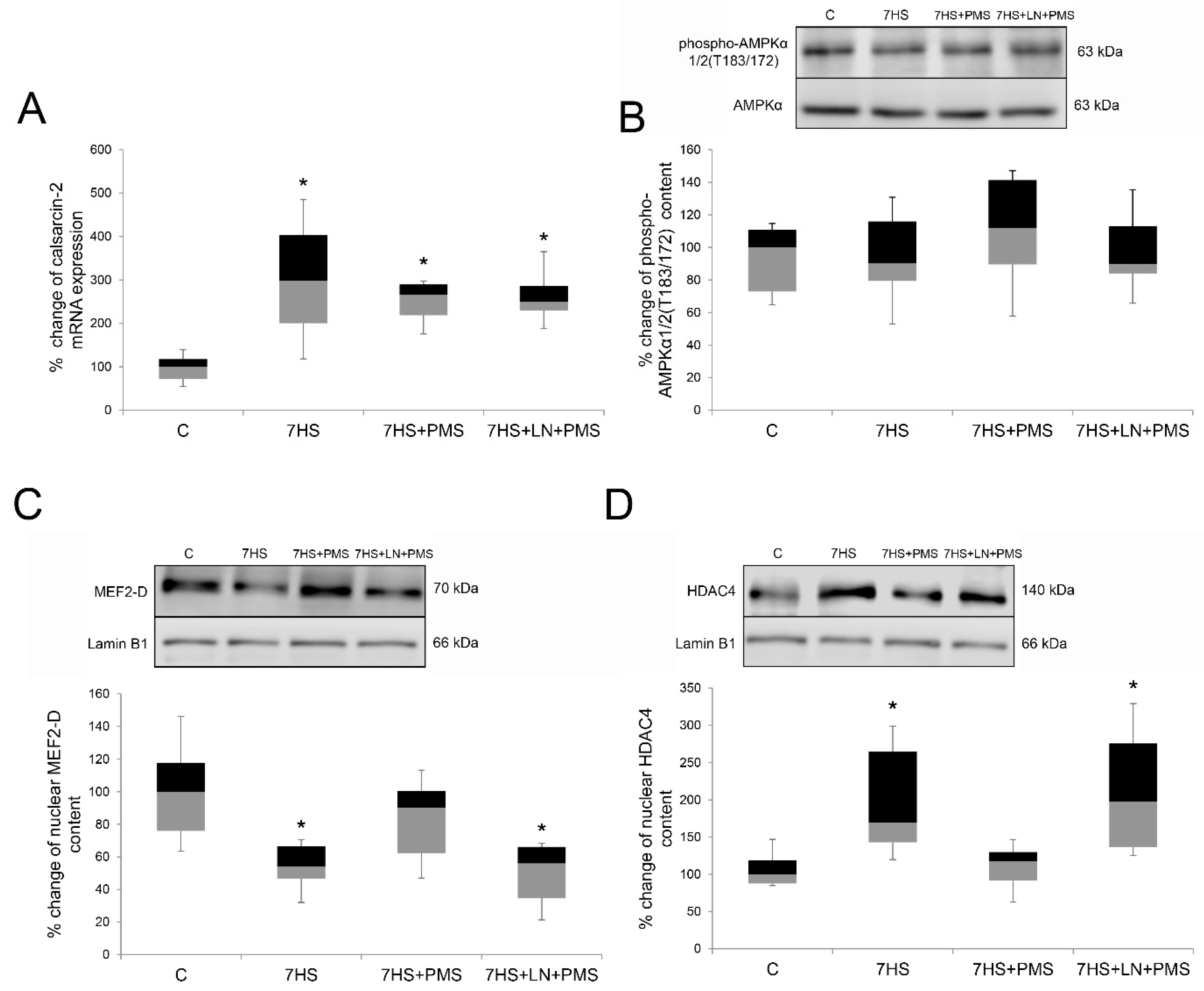 Ijms 22 01372 g006 Ijms 22 01372 g006