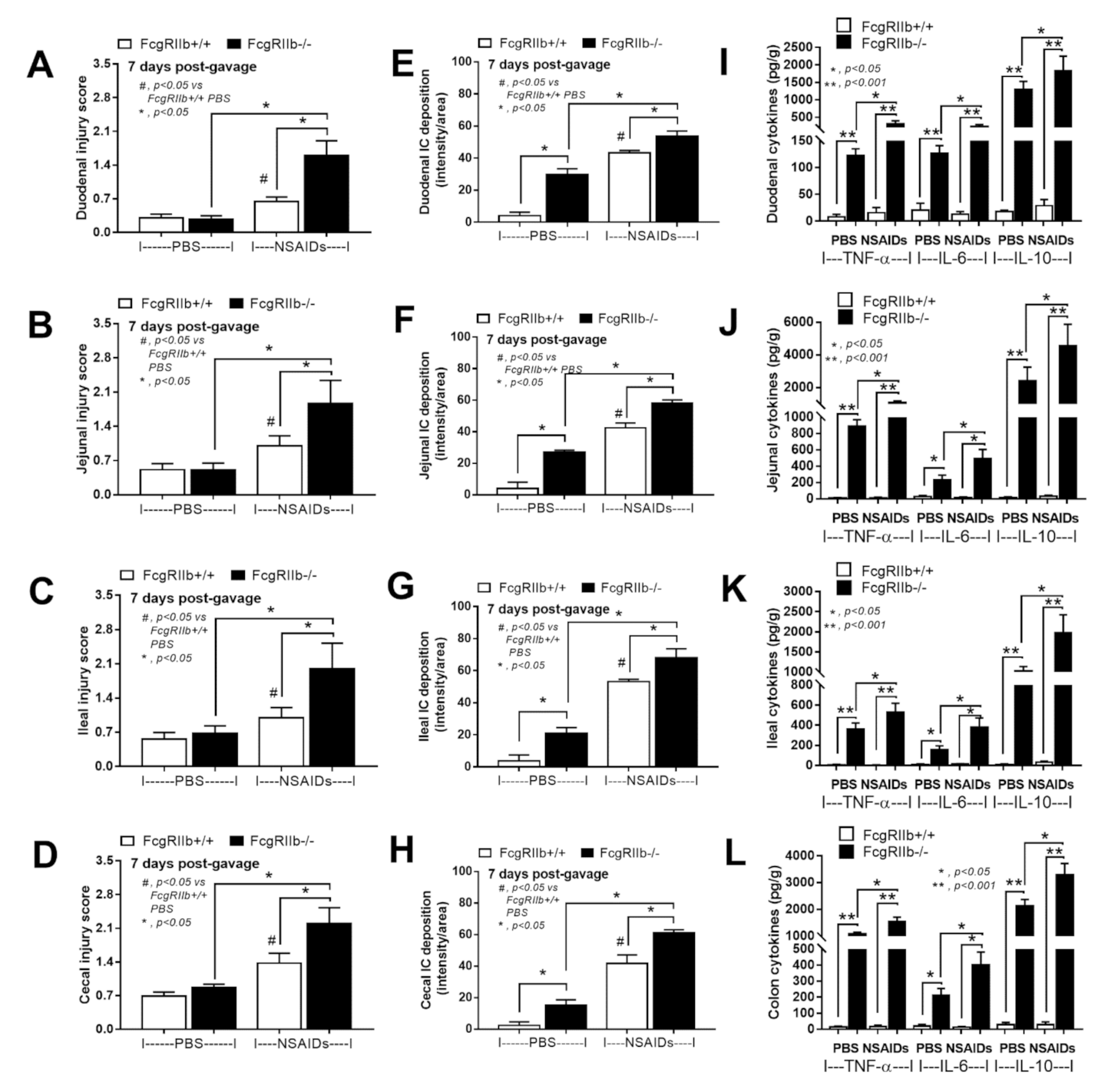 Ijms 22 01377 g003 Ijms 22 01377 g003