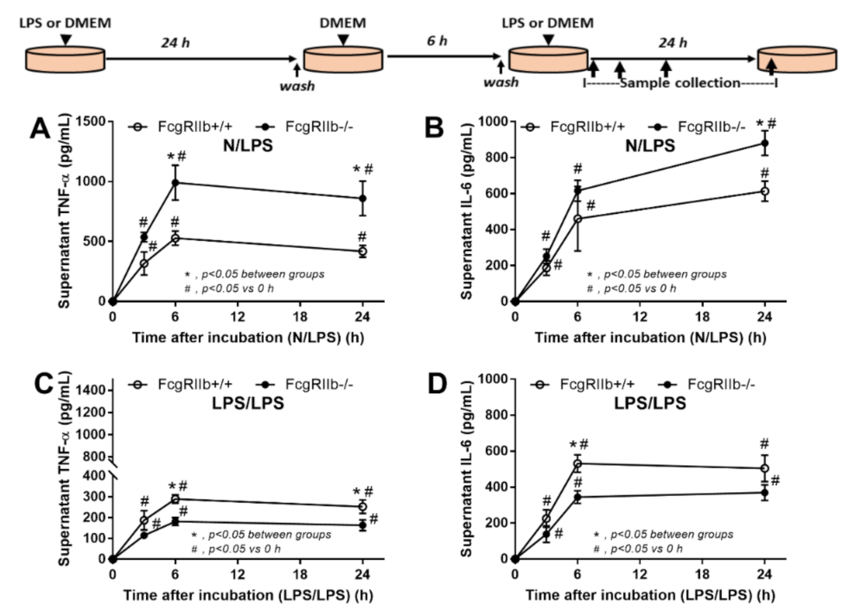 Ijms 22 01377 g007 Ijms 22 01377 g007