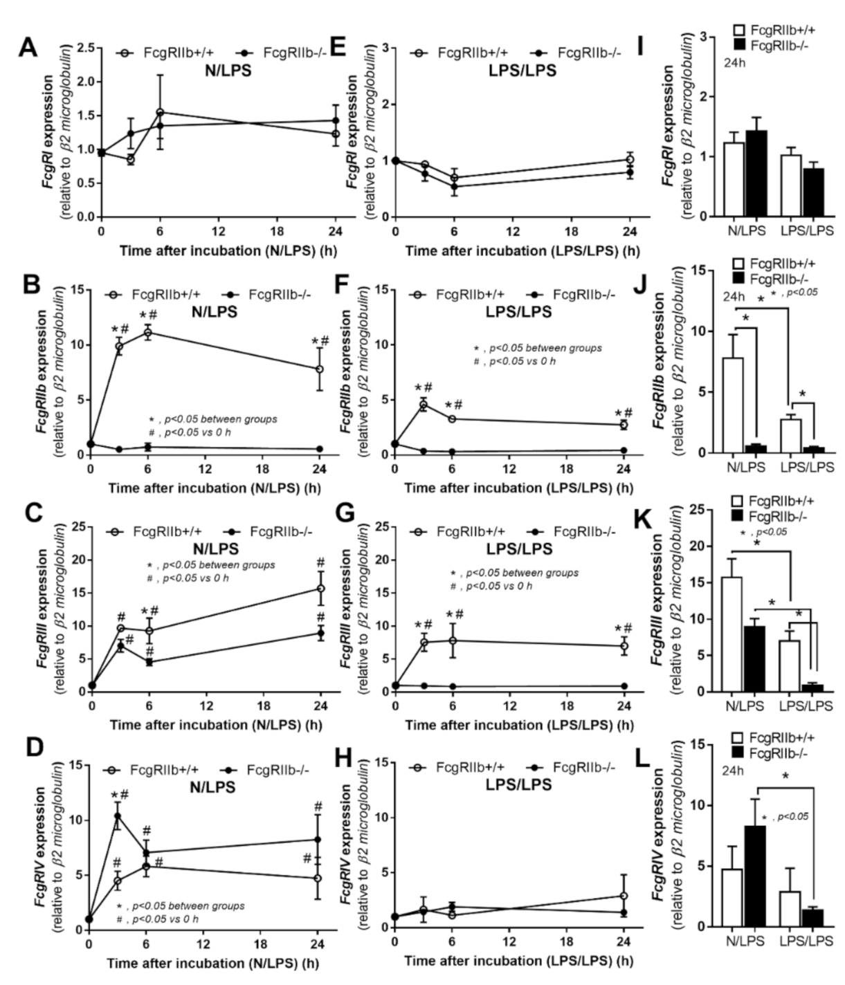 Ijms 22 01377 g008 Ijms 22 01377 g008