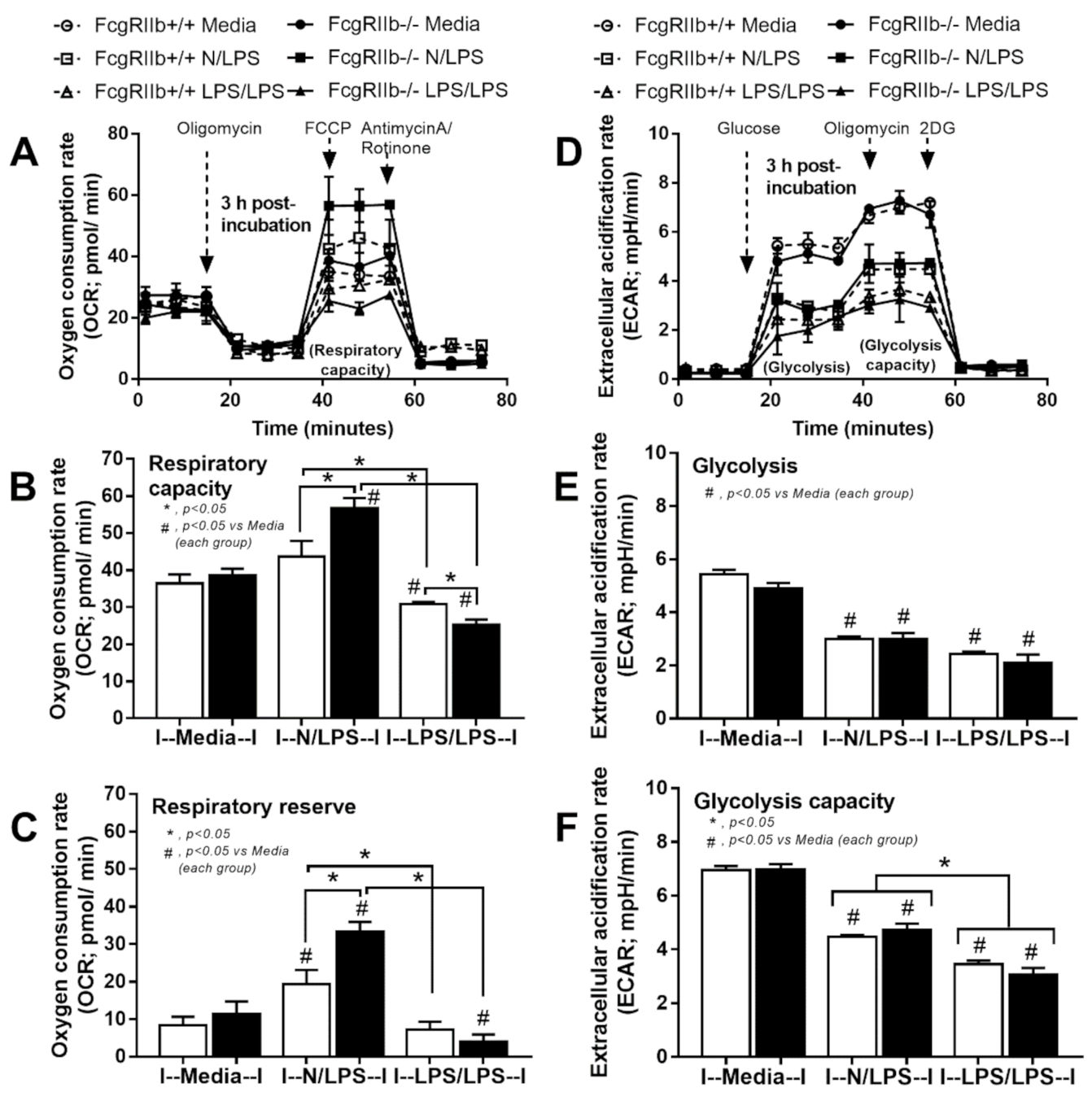 Ijms 22 01377 g009 Ijms 22 01377 g009