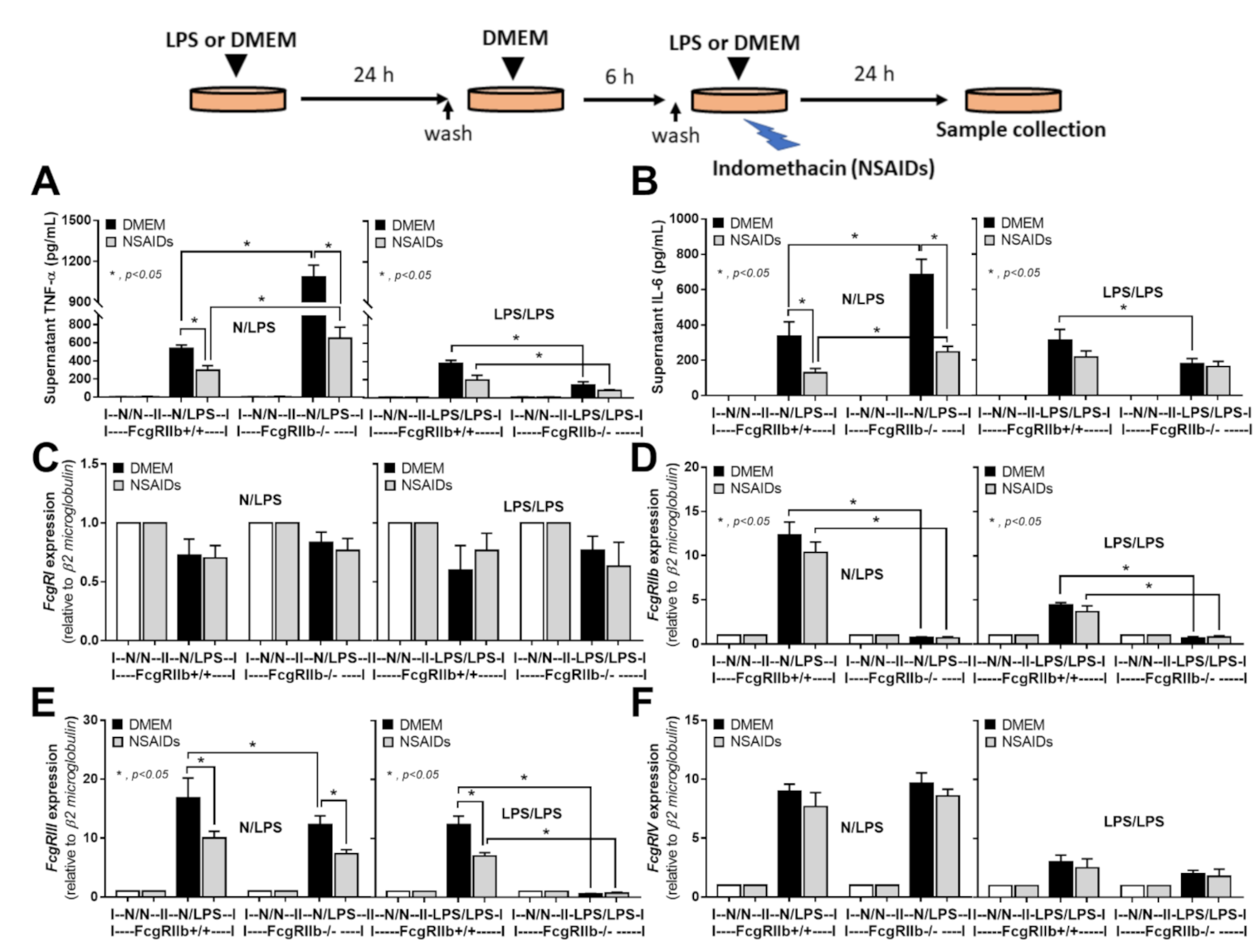 Ijms 22 01377 g010 Ijms 22 01377 g010