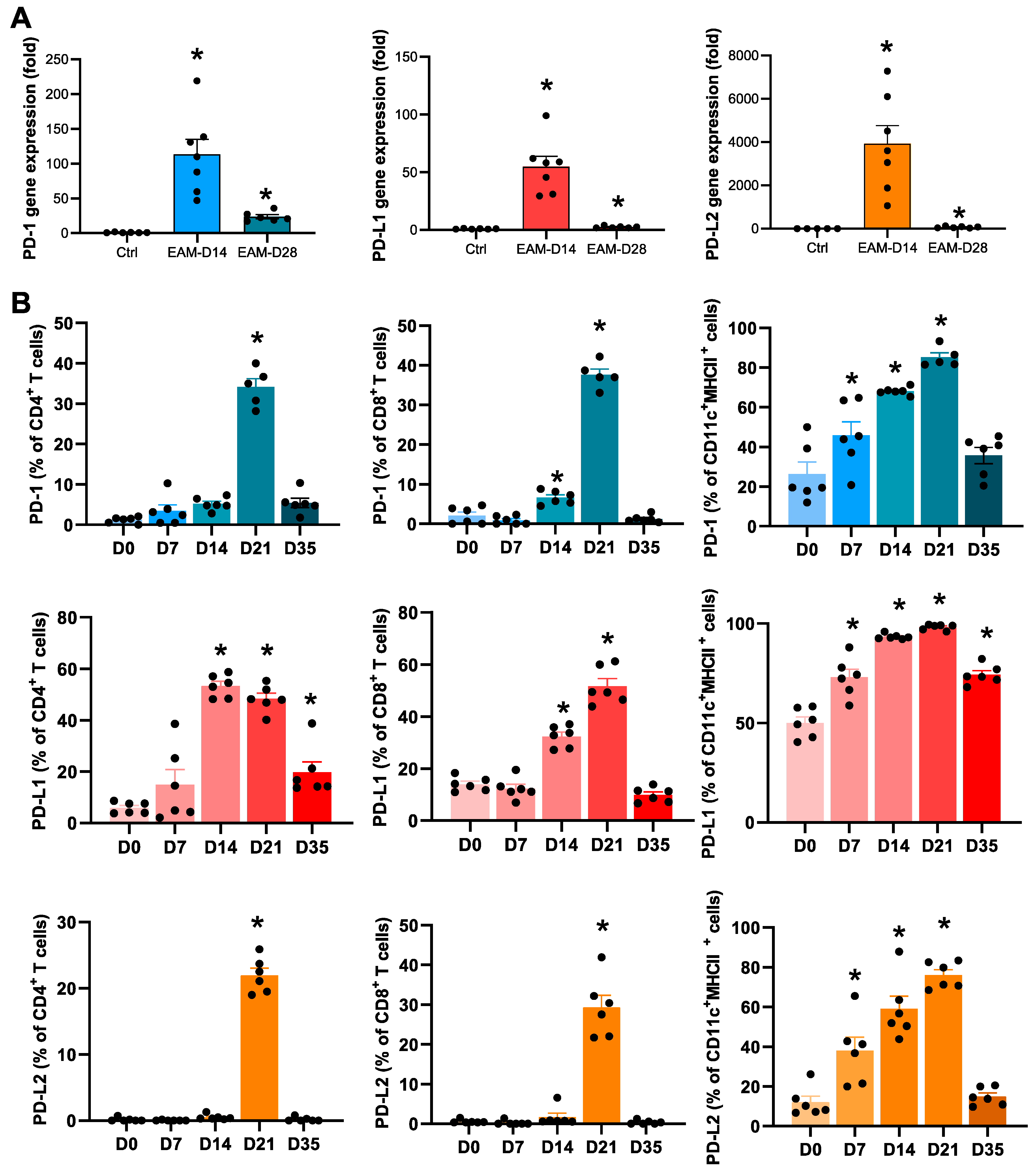 Ijms 22 01426 g002 Ijms 22 01426 g002