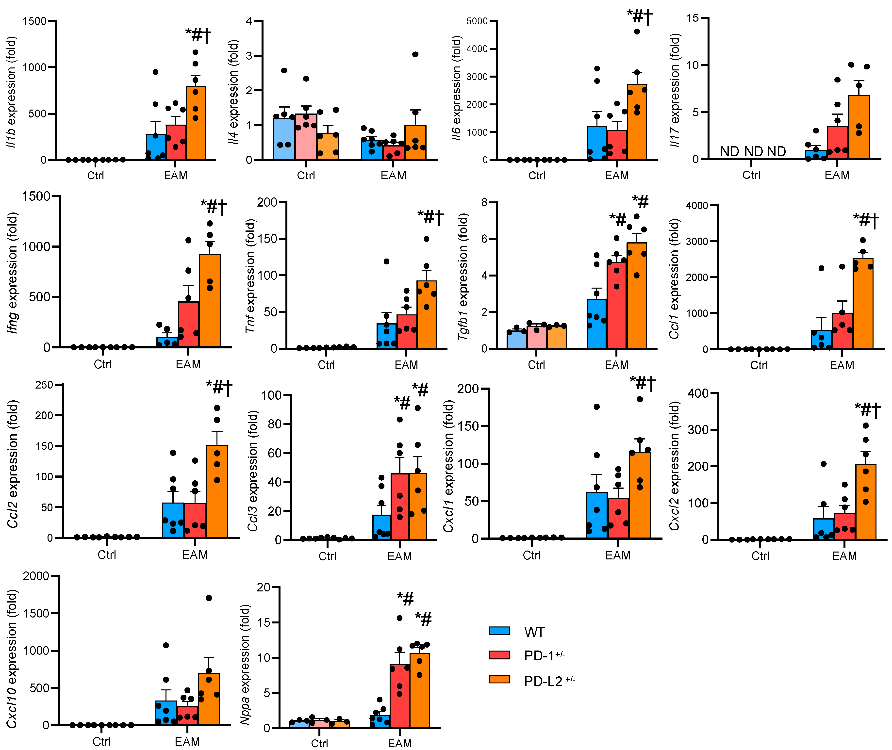 Ijms 22 01426 g005 Ijms 22 01426 g005