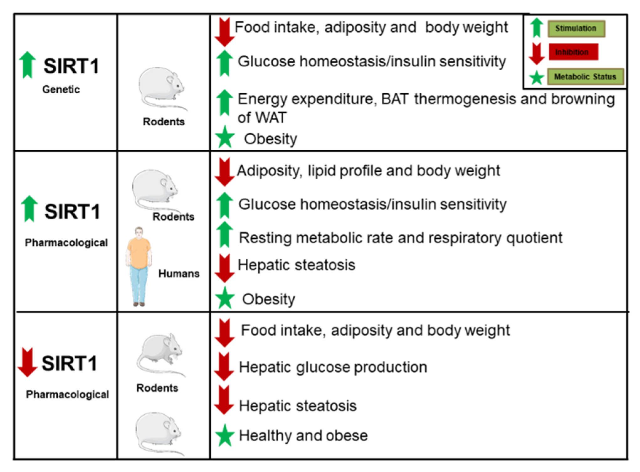 Ijms 22 01430 g001 Ijms 22 01430 g001