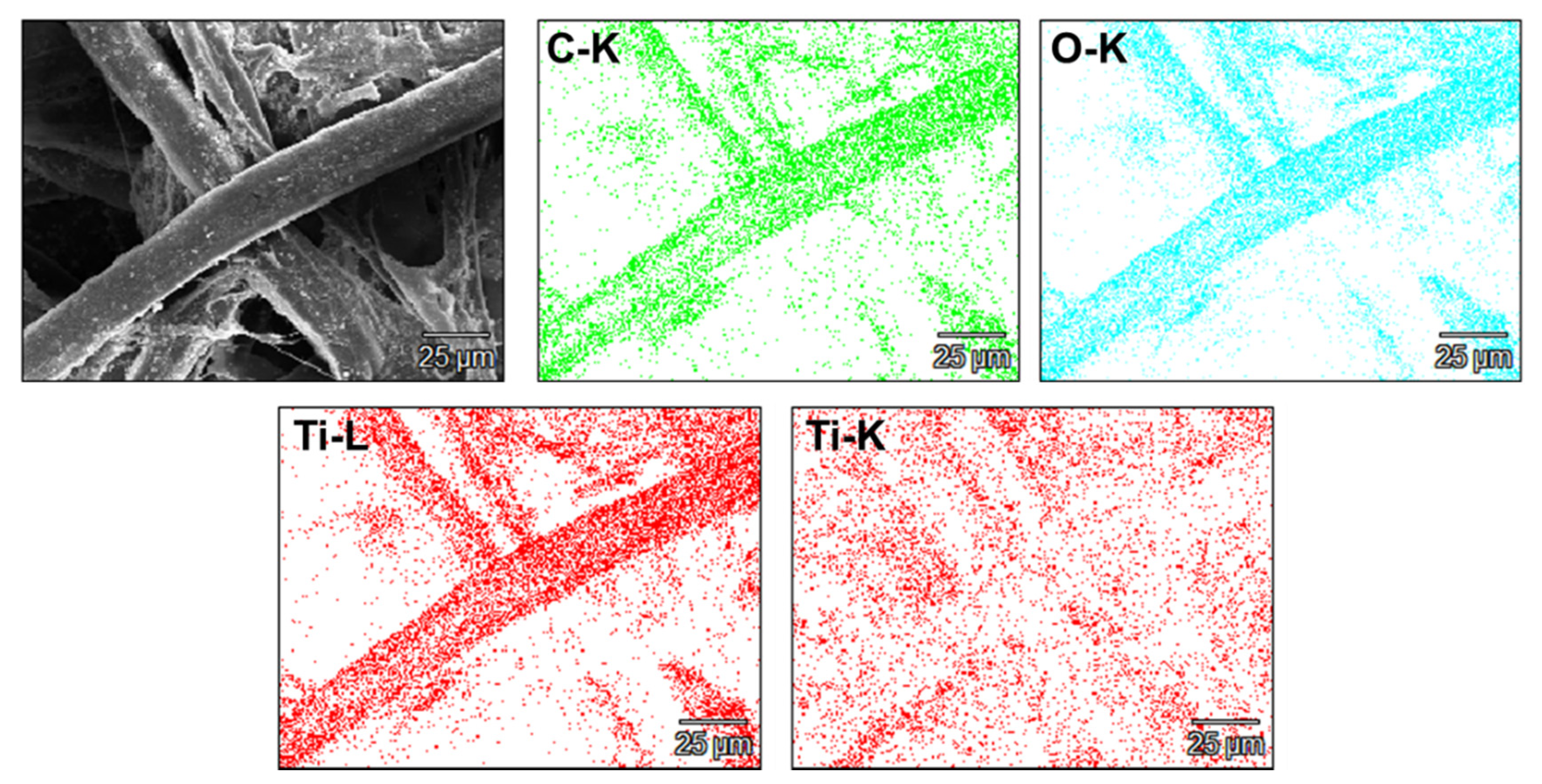 Ijms 22 01451 g003 Ijms 22 01451 g003