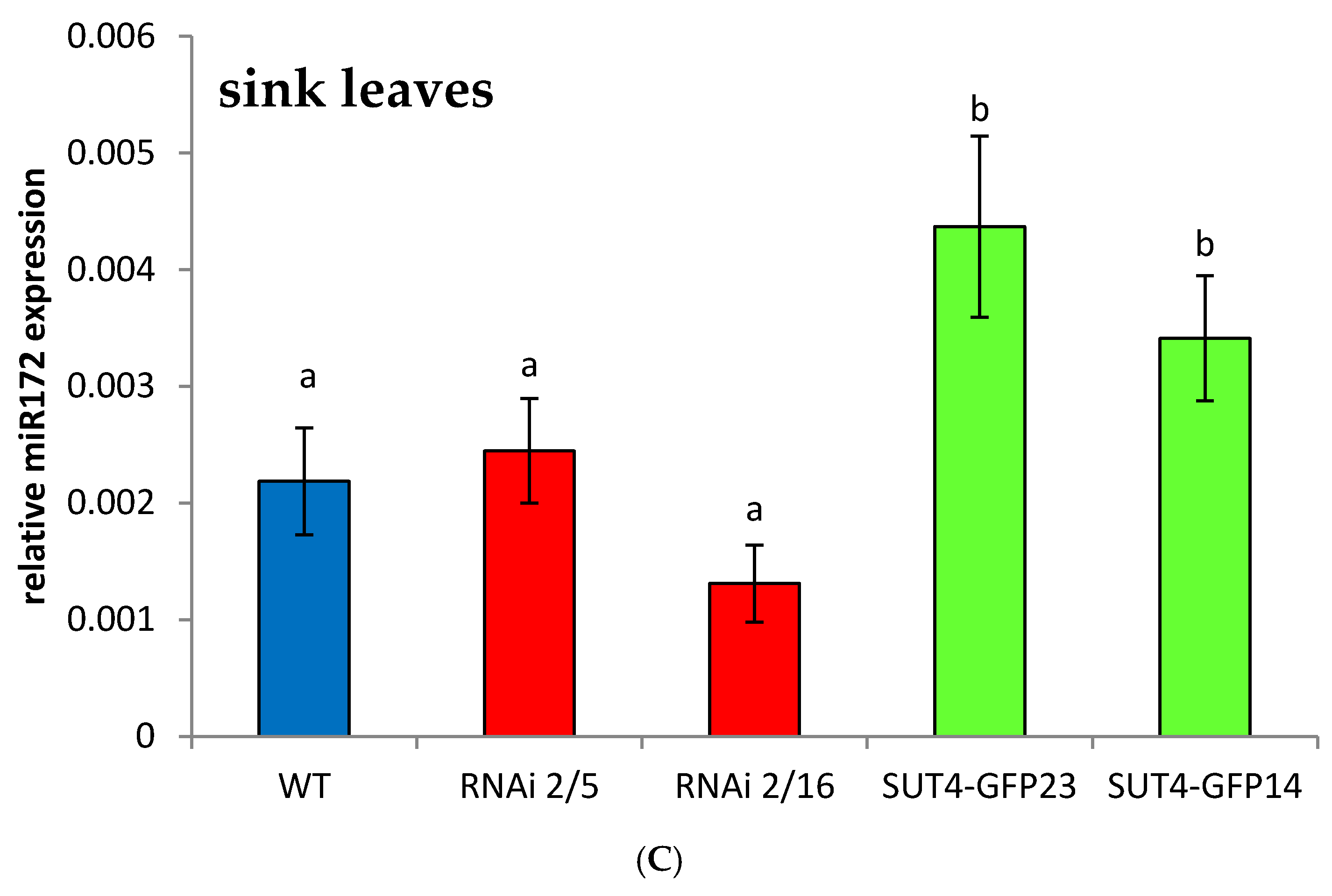 Ijms 22 01455 g001b Ijms 22 01455 g001b