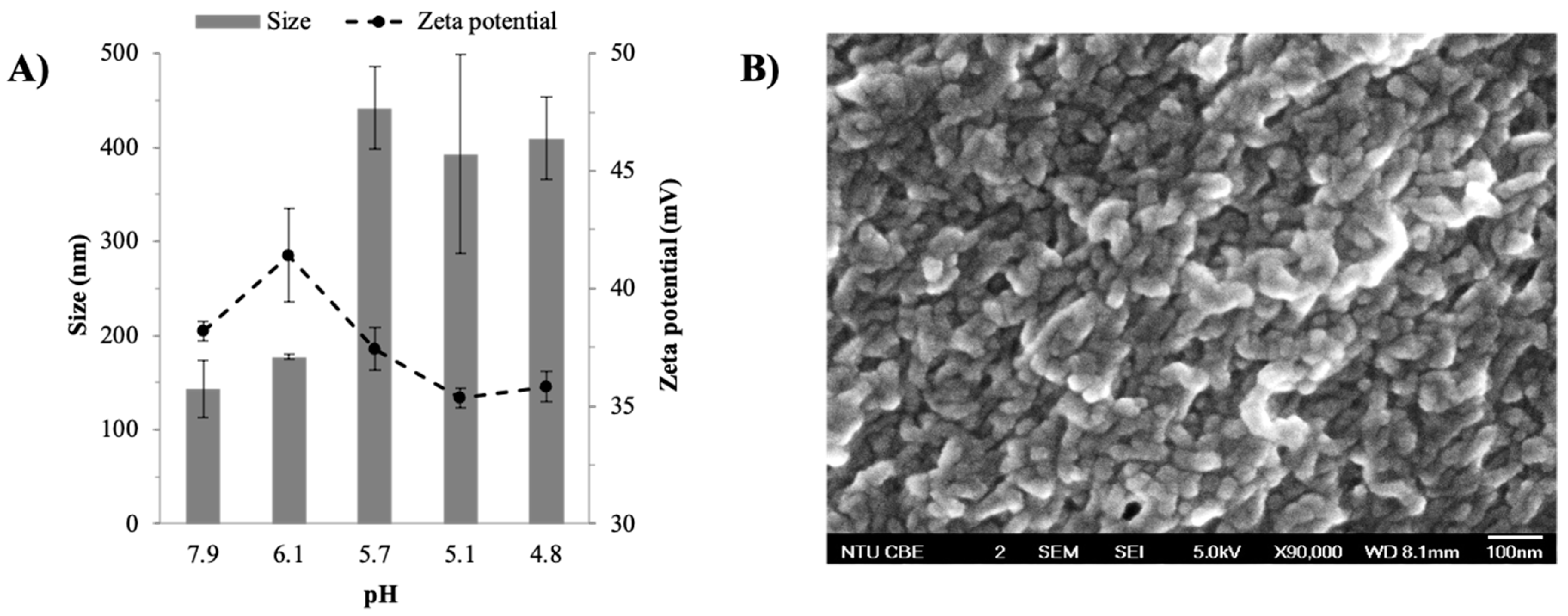 Ijms 22 01541 g002 Ijms 22 01541 g002