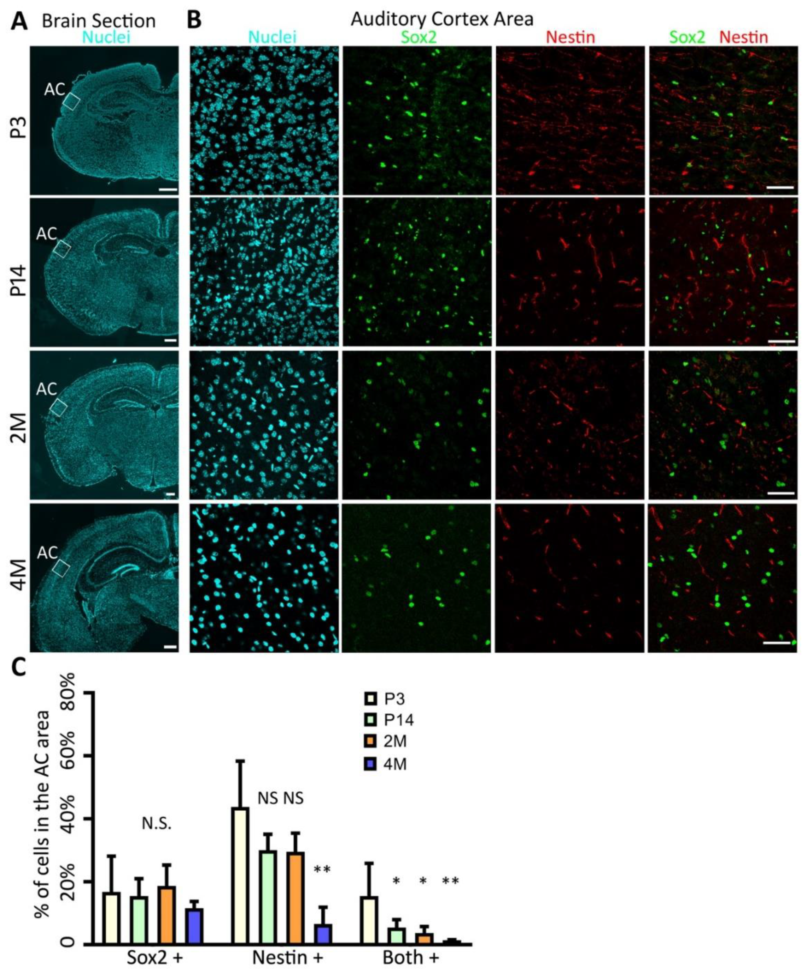 Ijms 22 01550 g001 Ijms 22 01550 g001