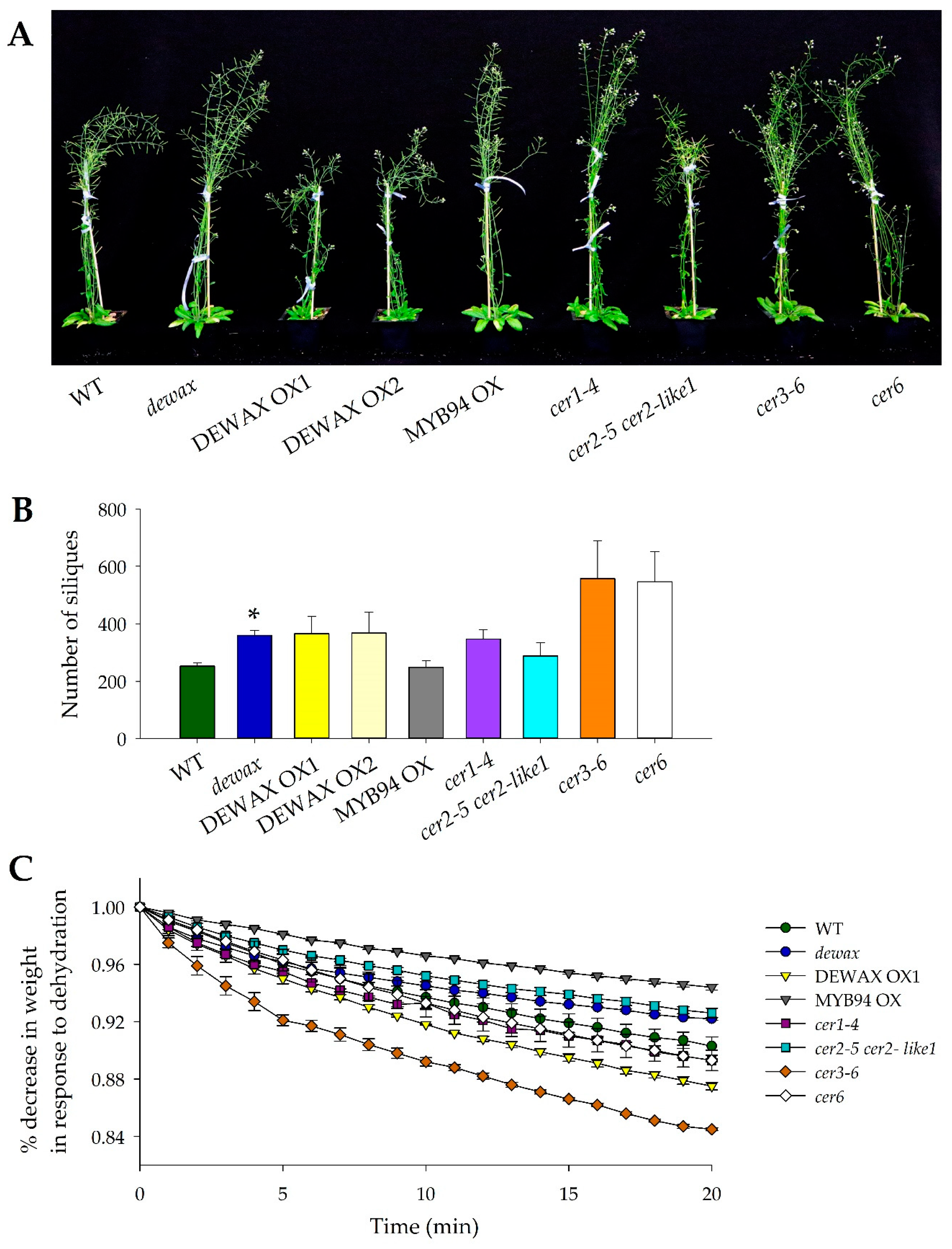 https://www.mdpi.com/ijms/ijms-22-01554/article_deploy/html/images/ijms-22-01554-g001.png