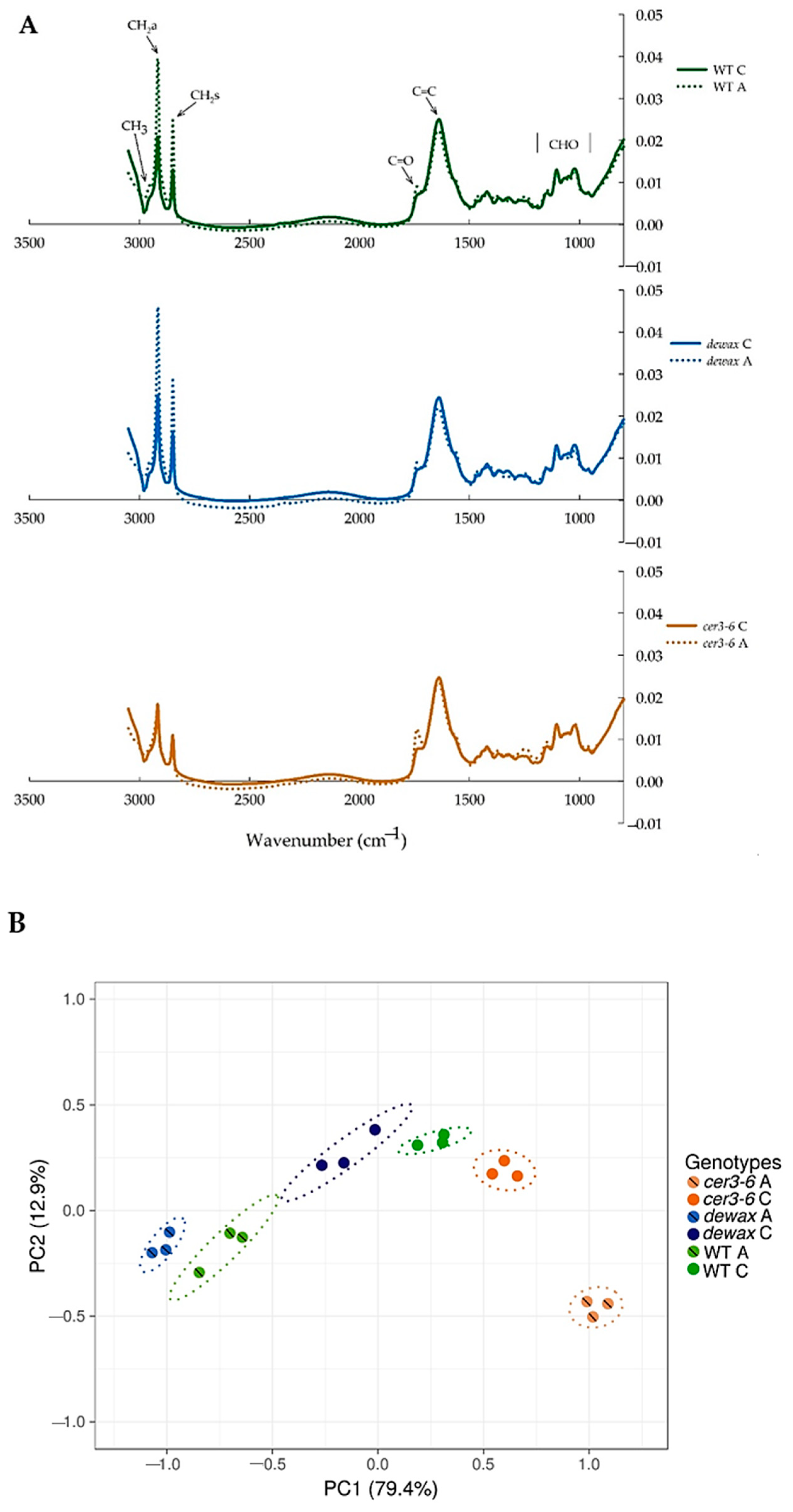 Ijms 22 01554 g004 Ijms 22 01554 g004