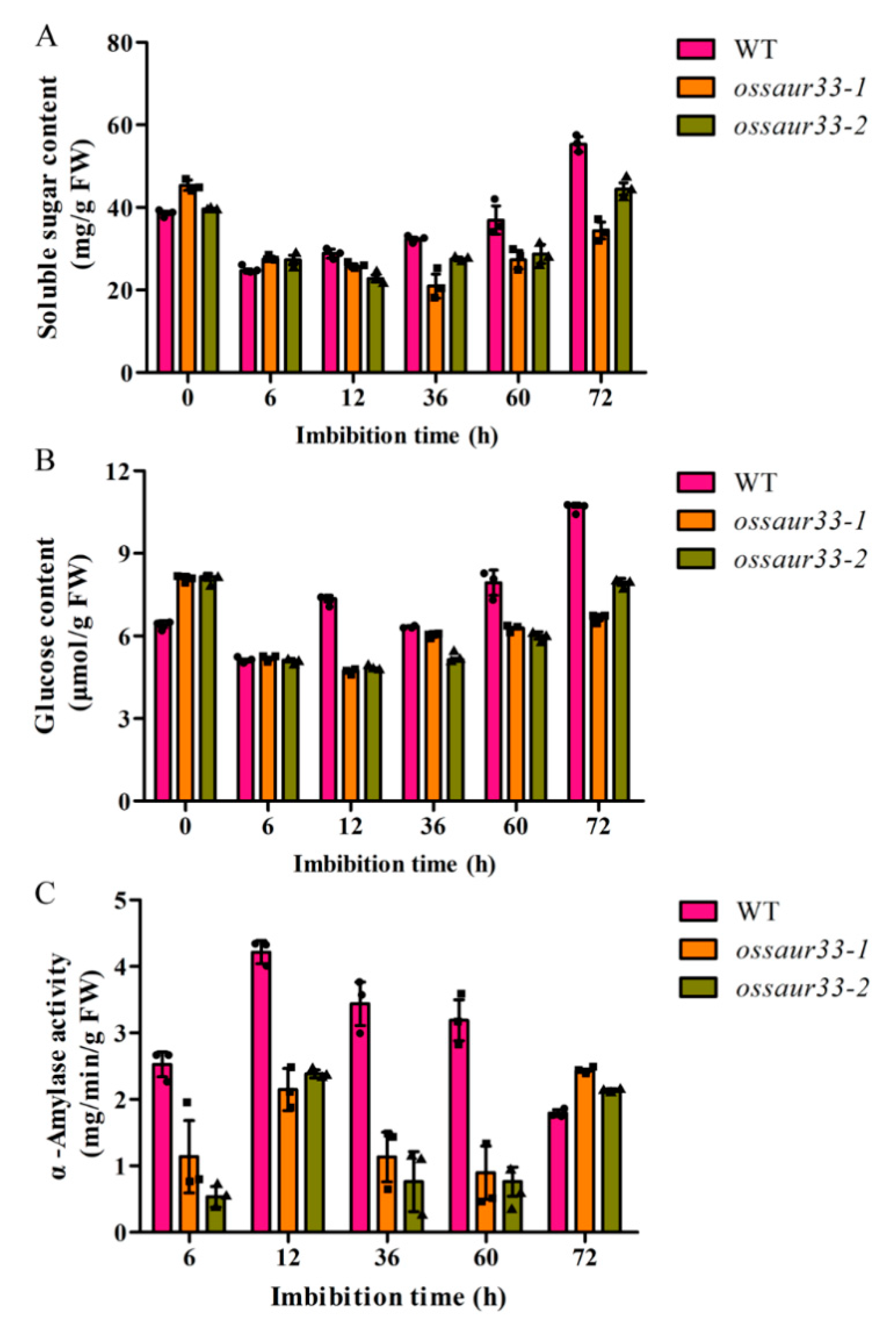 Ijms 22 01562 g005 Ijms 22 01562 g005