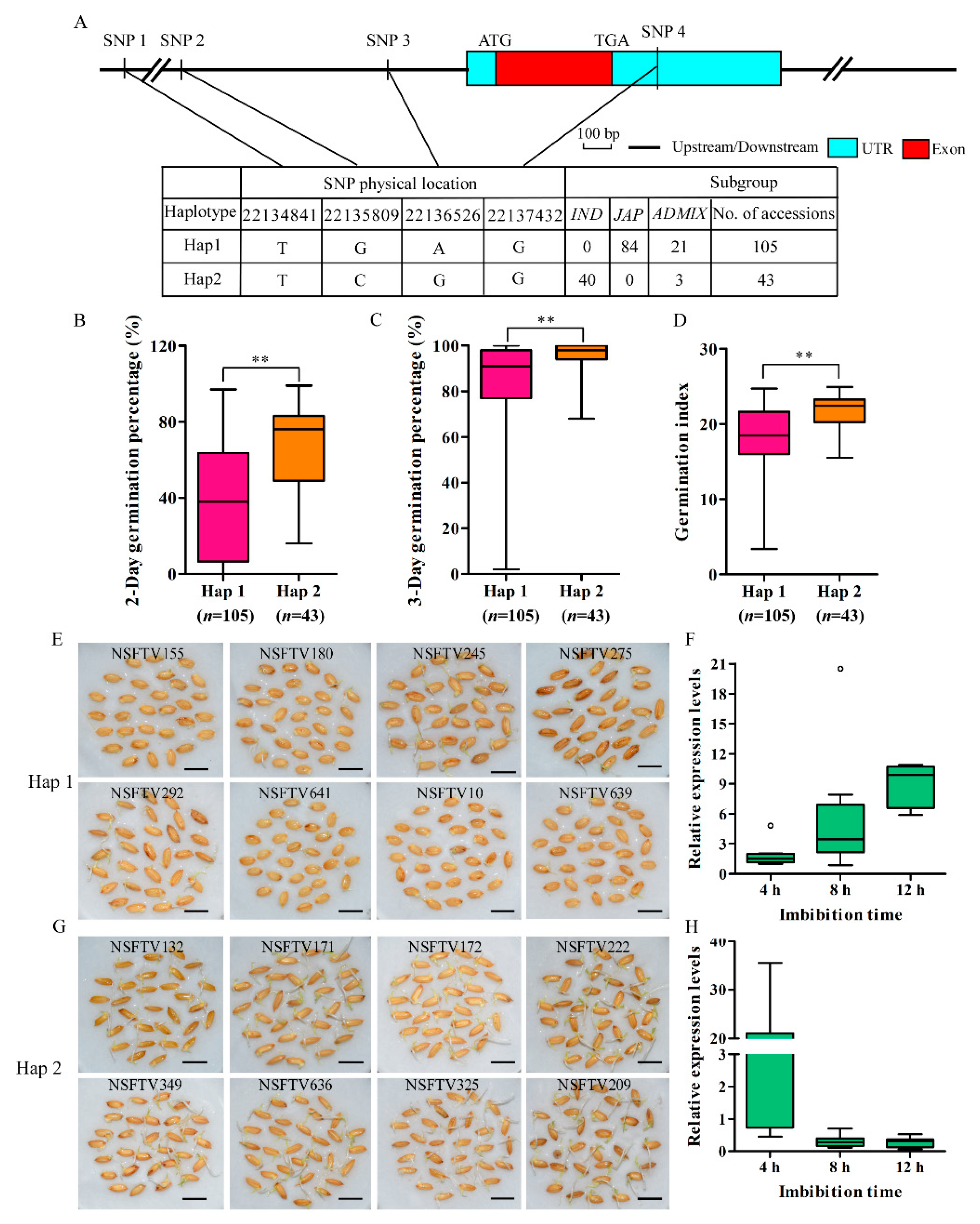 Ijms 22 01562 g008 Ijms 22 01562 g008