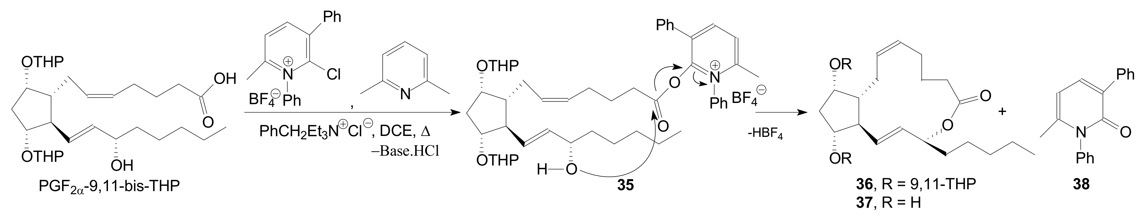 Ijms 22 01572 sch007