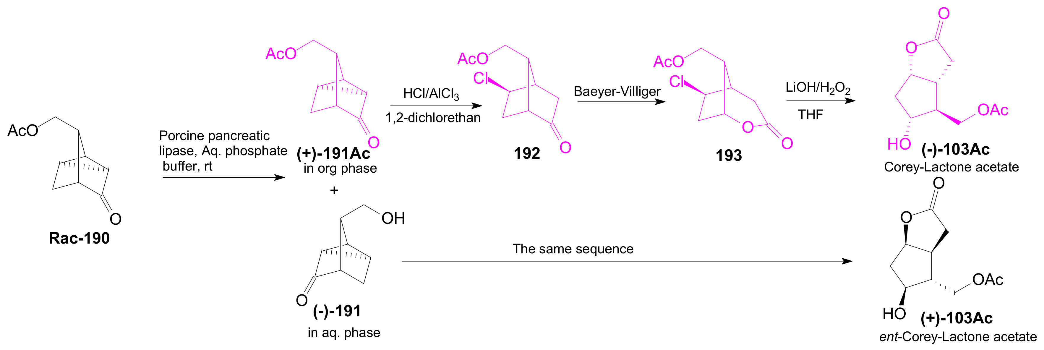 Ijms 22 01572 sch039
