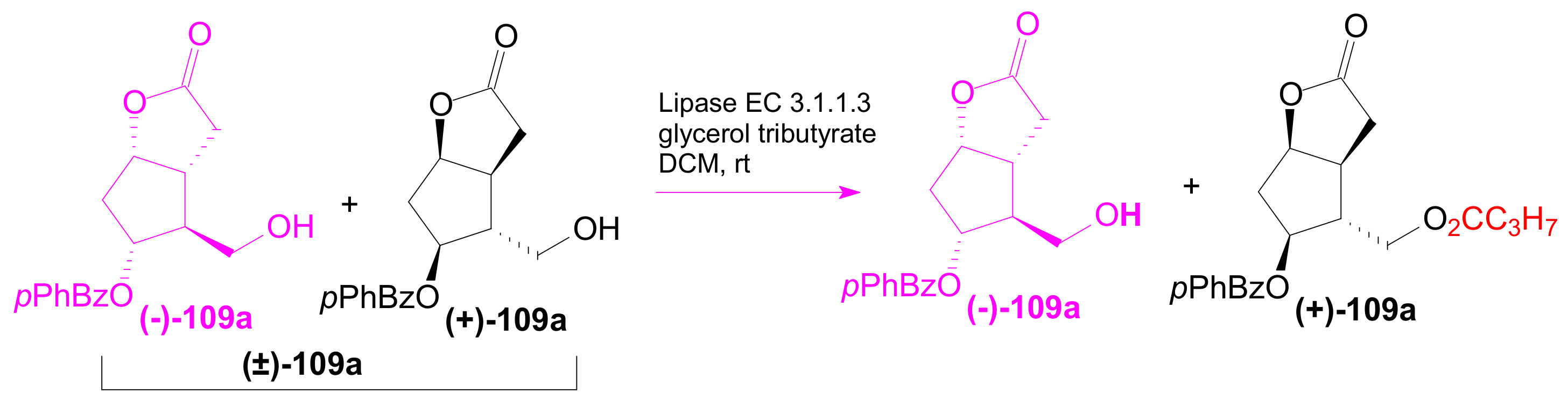 Ijms 22 01572 sch042