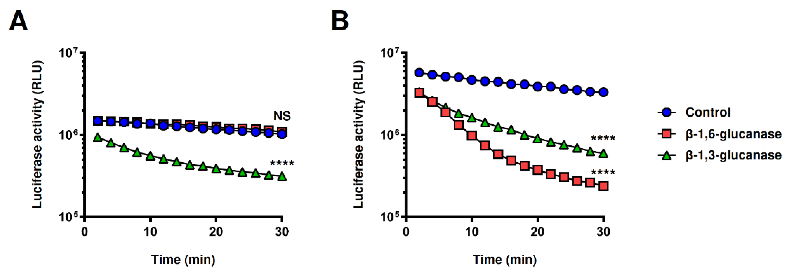 Ijms 22 01576 g006 Ijms 22 01576 g006