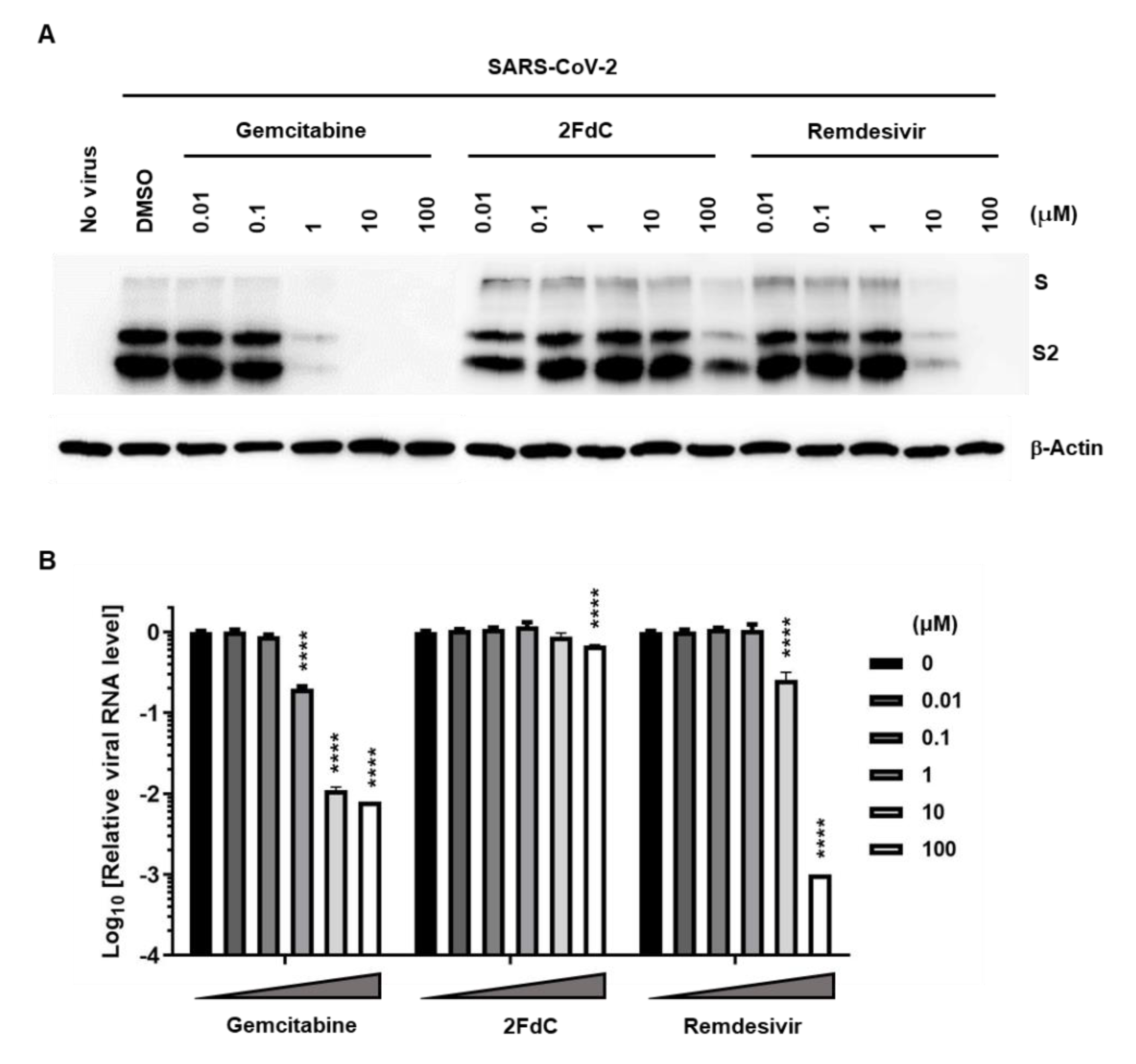 Ijms 22 01581 g003 Ijms 22 01581 g003