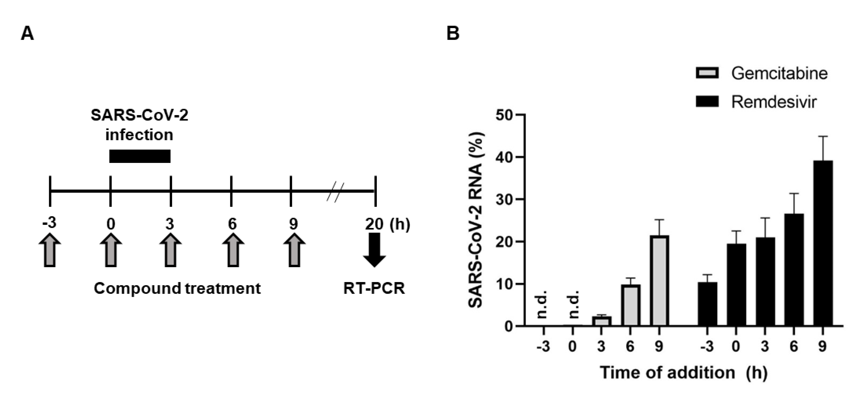 Ijms 22 01581 g004 Ijms 22 01581 g004