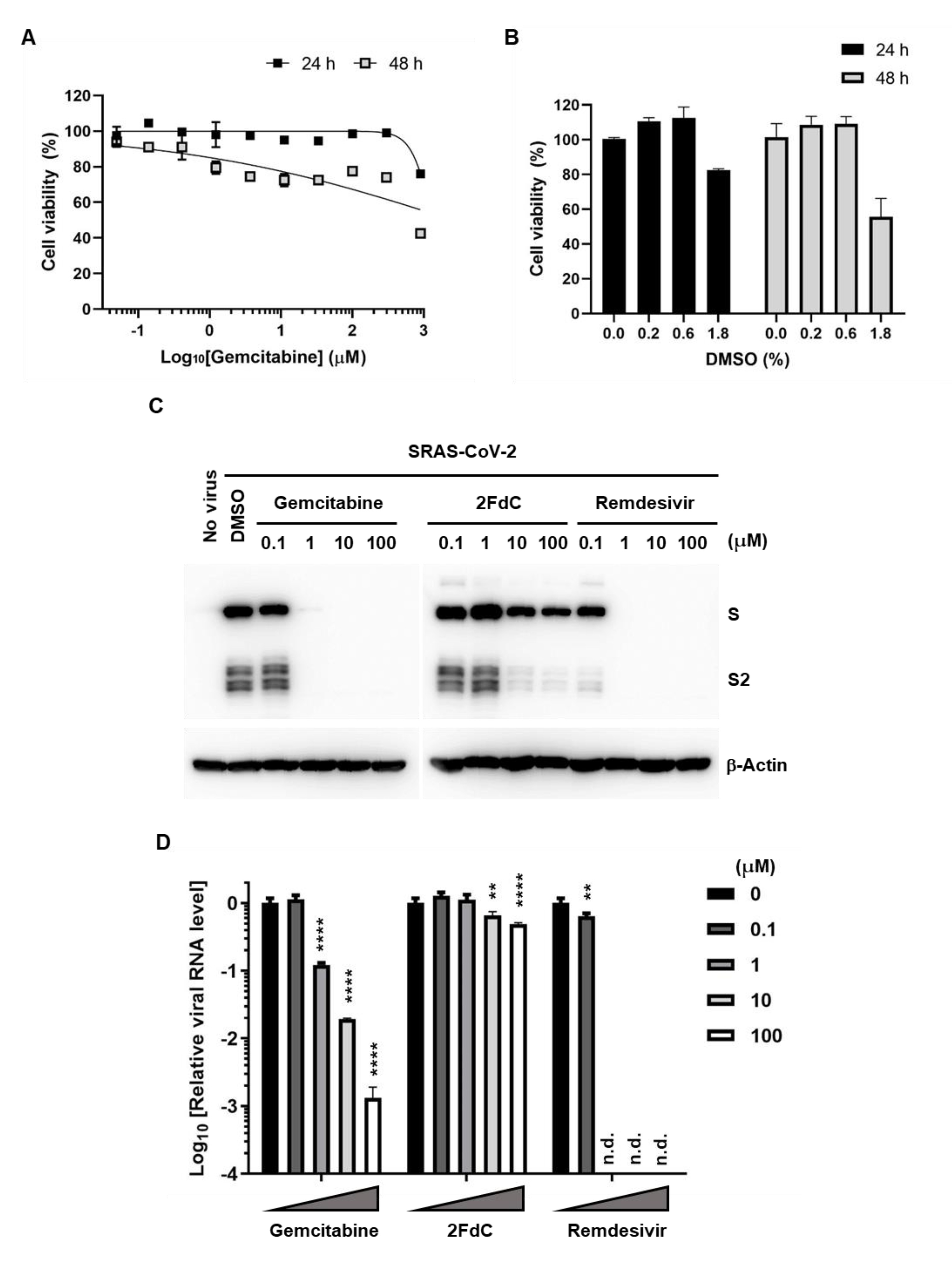 Ijms 22 01581 g006 Ijms 22 01581 g006