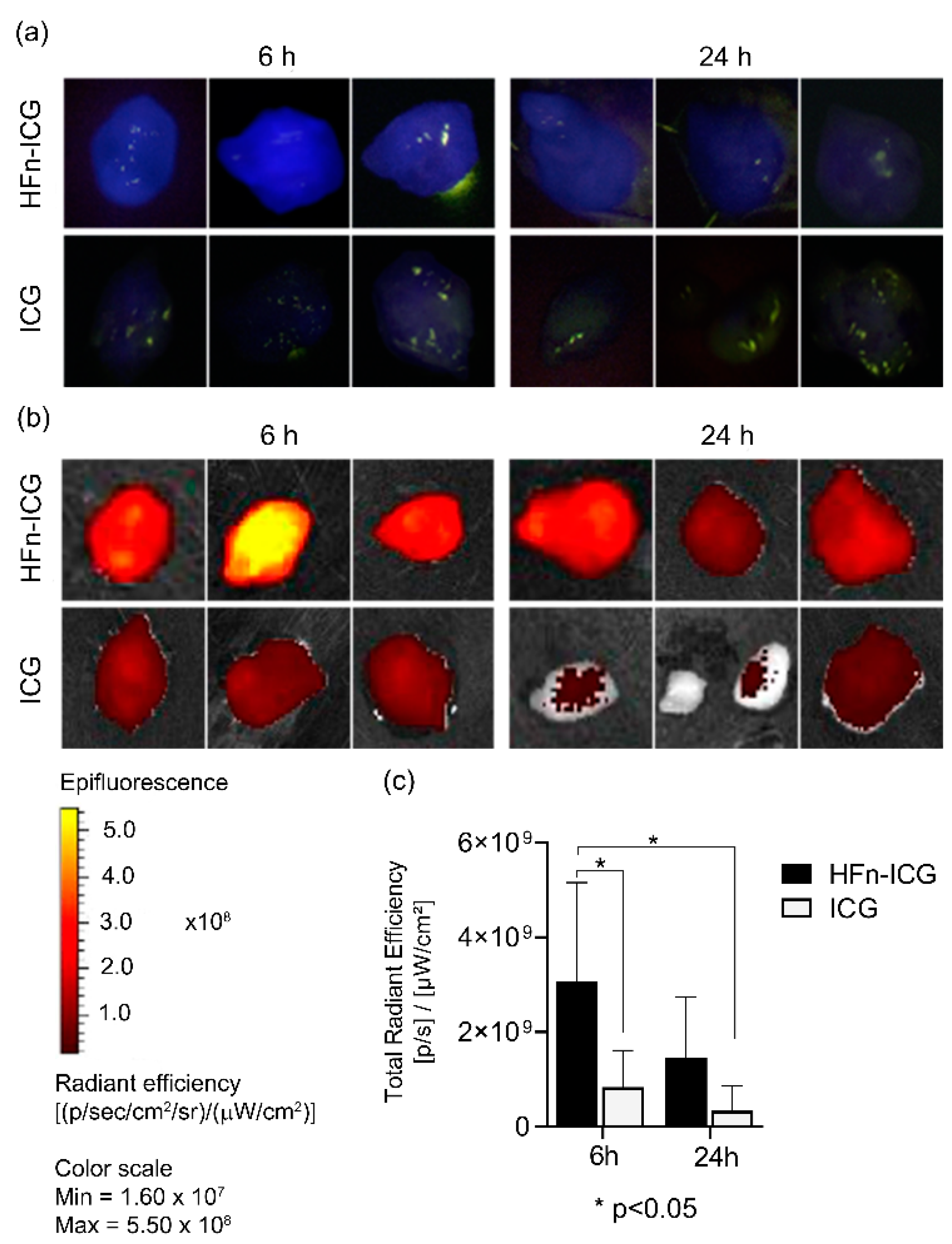 Ijms 22 01601 g001 Ijms 22 01601 g001