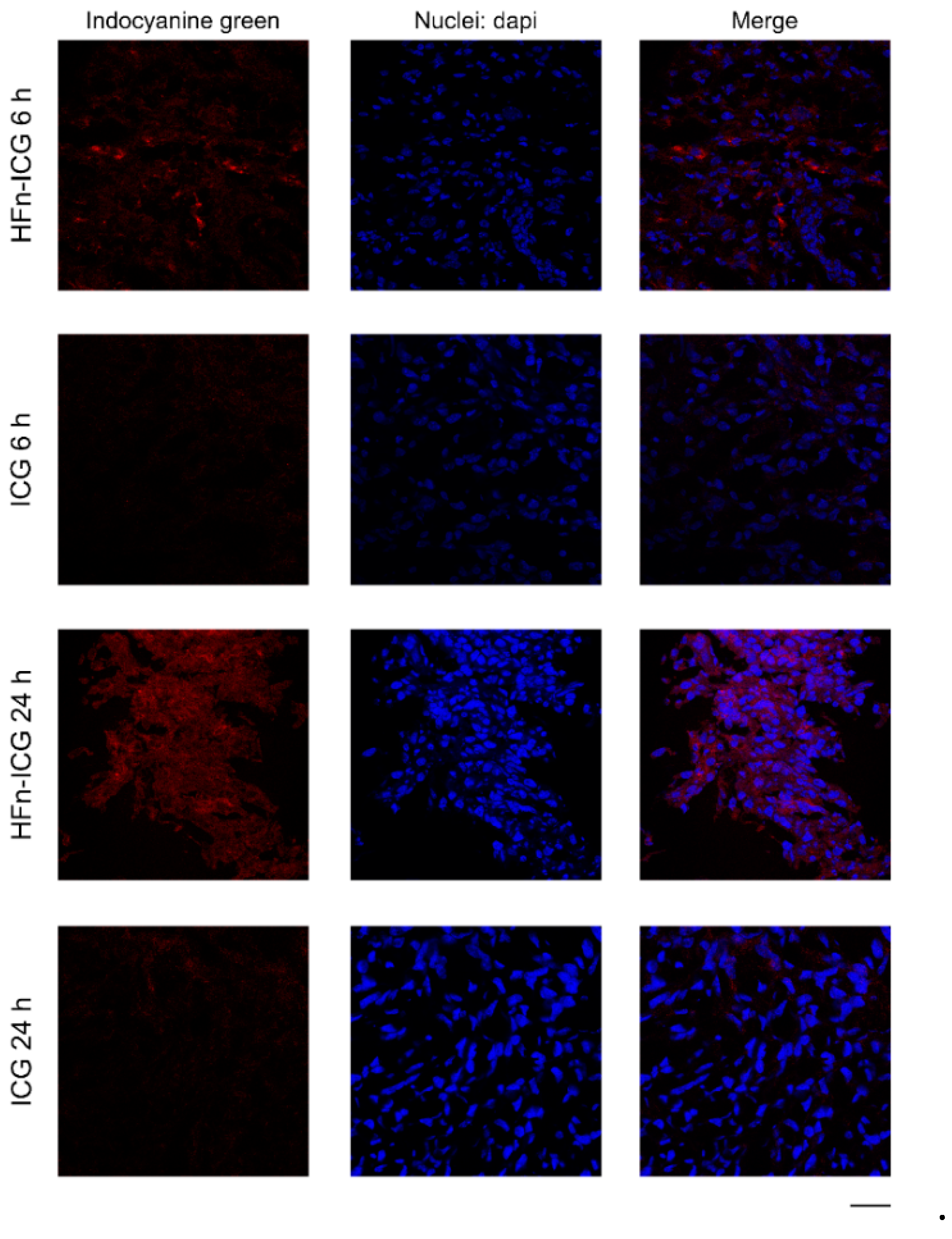Ijms 22 01601 g002 Ijms 22 01601 g002