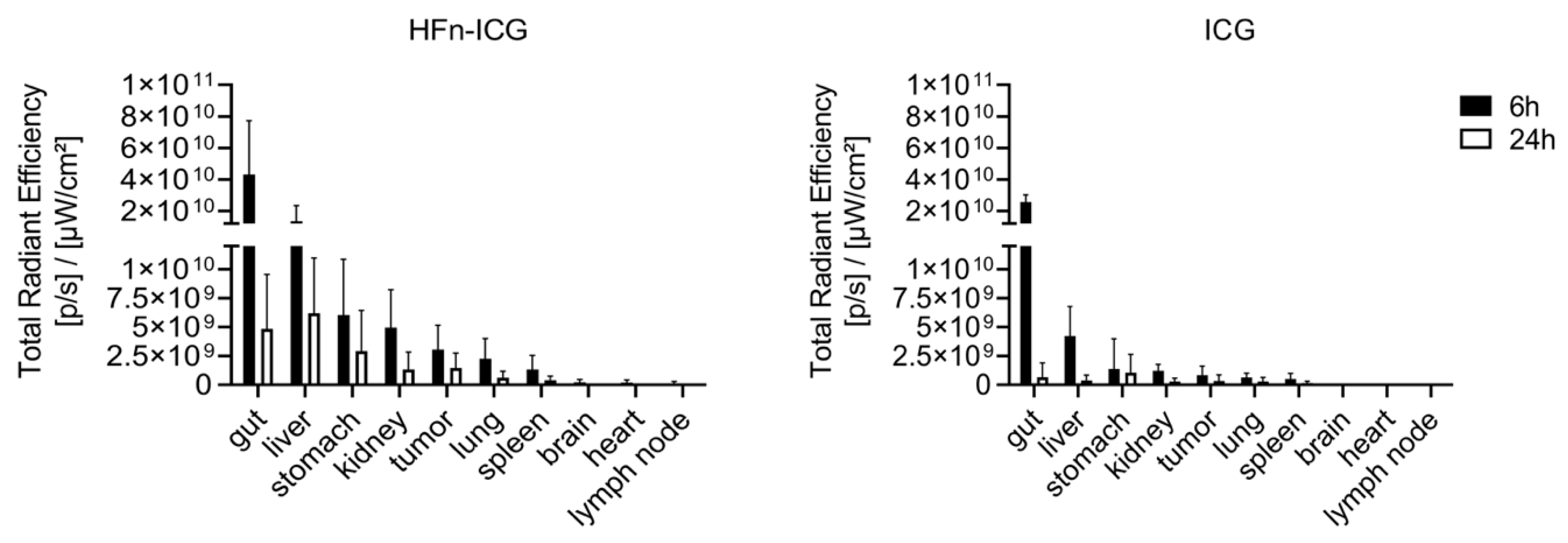 Ijms 22 01601 g005 Ijms 22 01601 g005