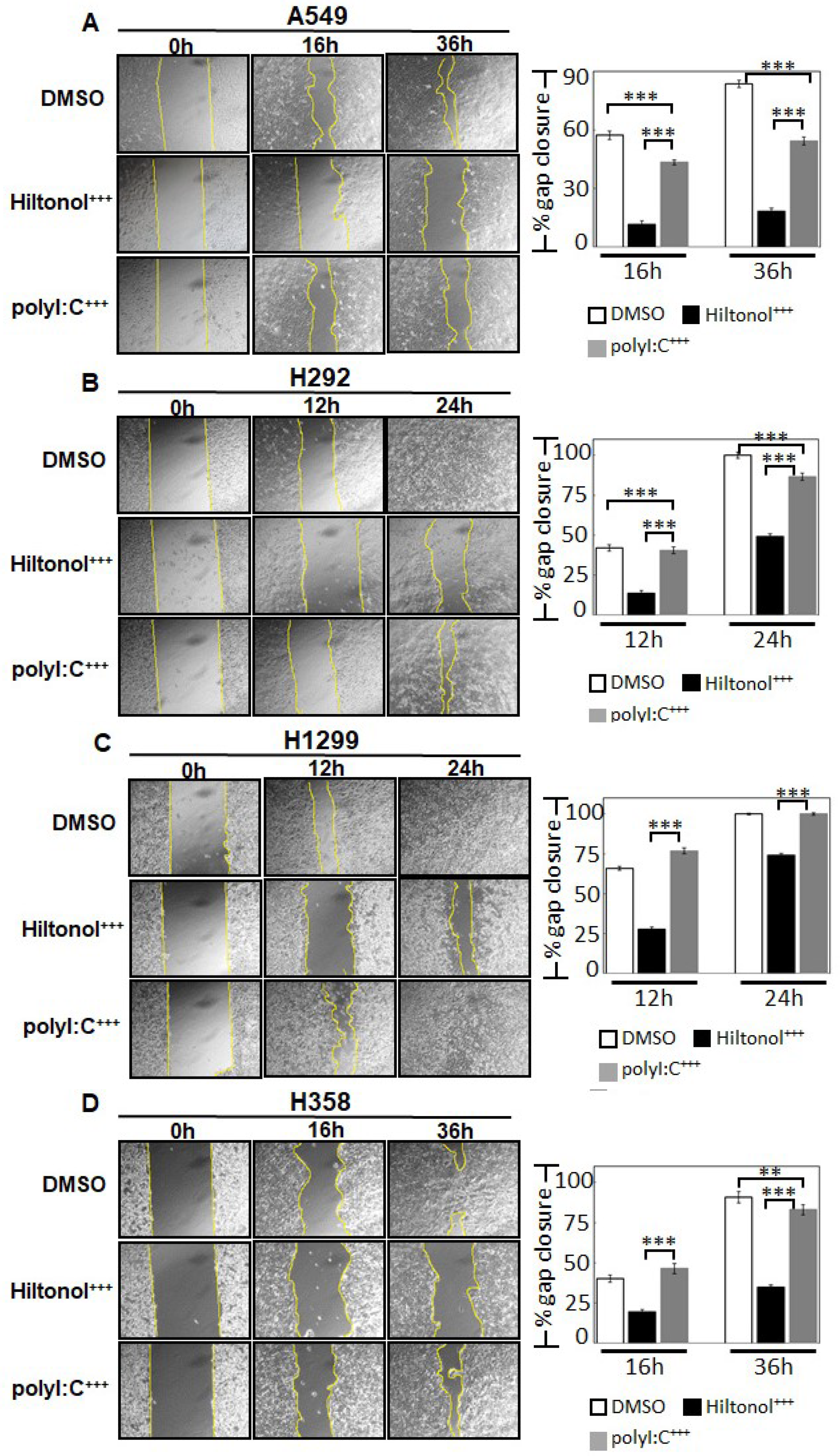 Ijms 22 01626 g003a Ijms 22 01626 g003a