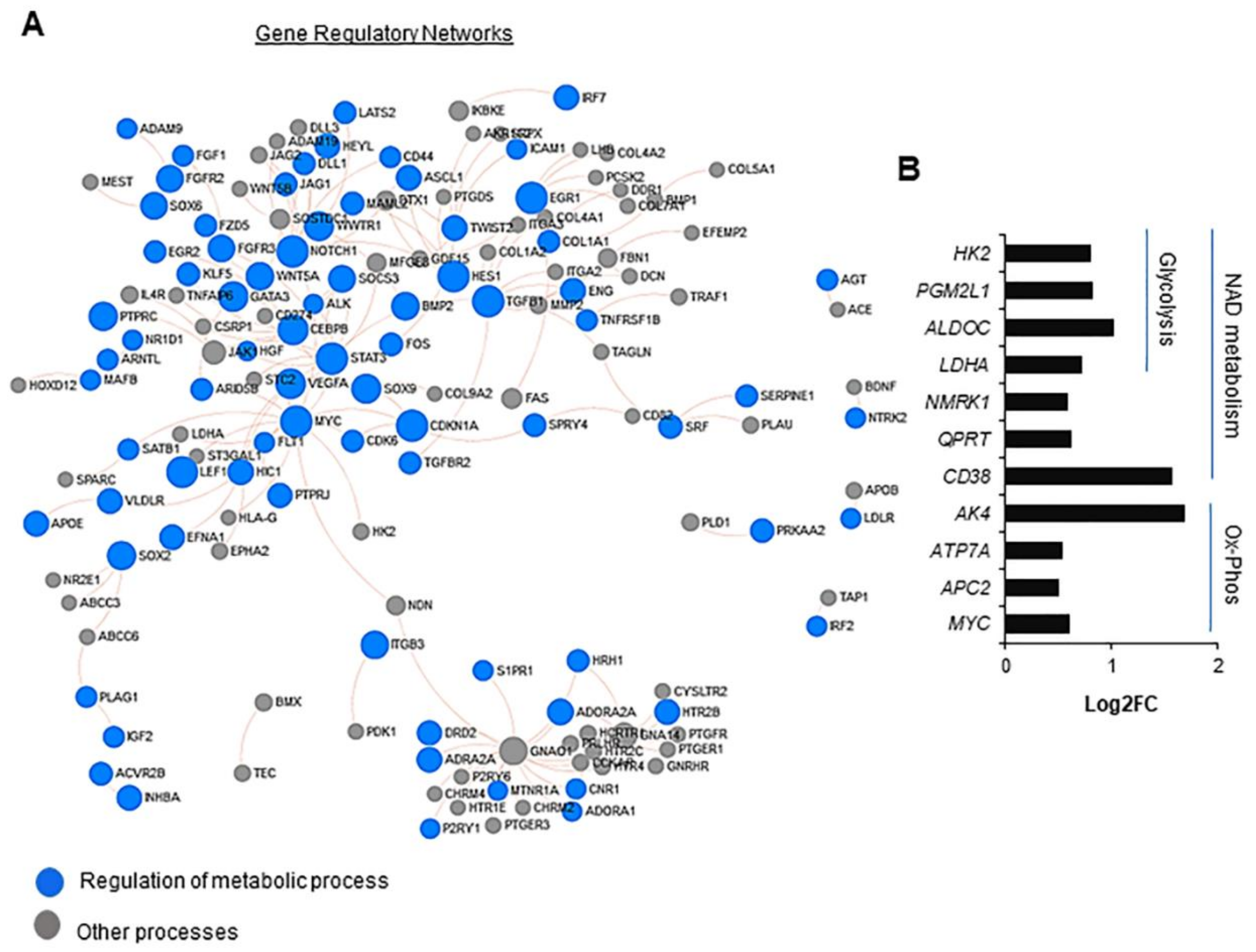 Ijms 22 01629 g002 Ijms 22 01629 g002