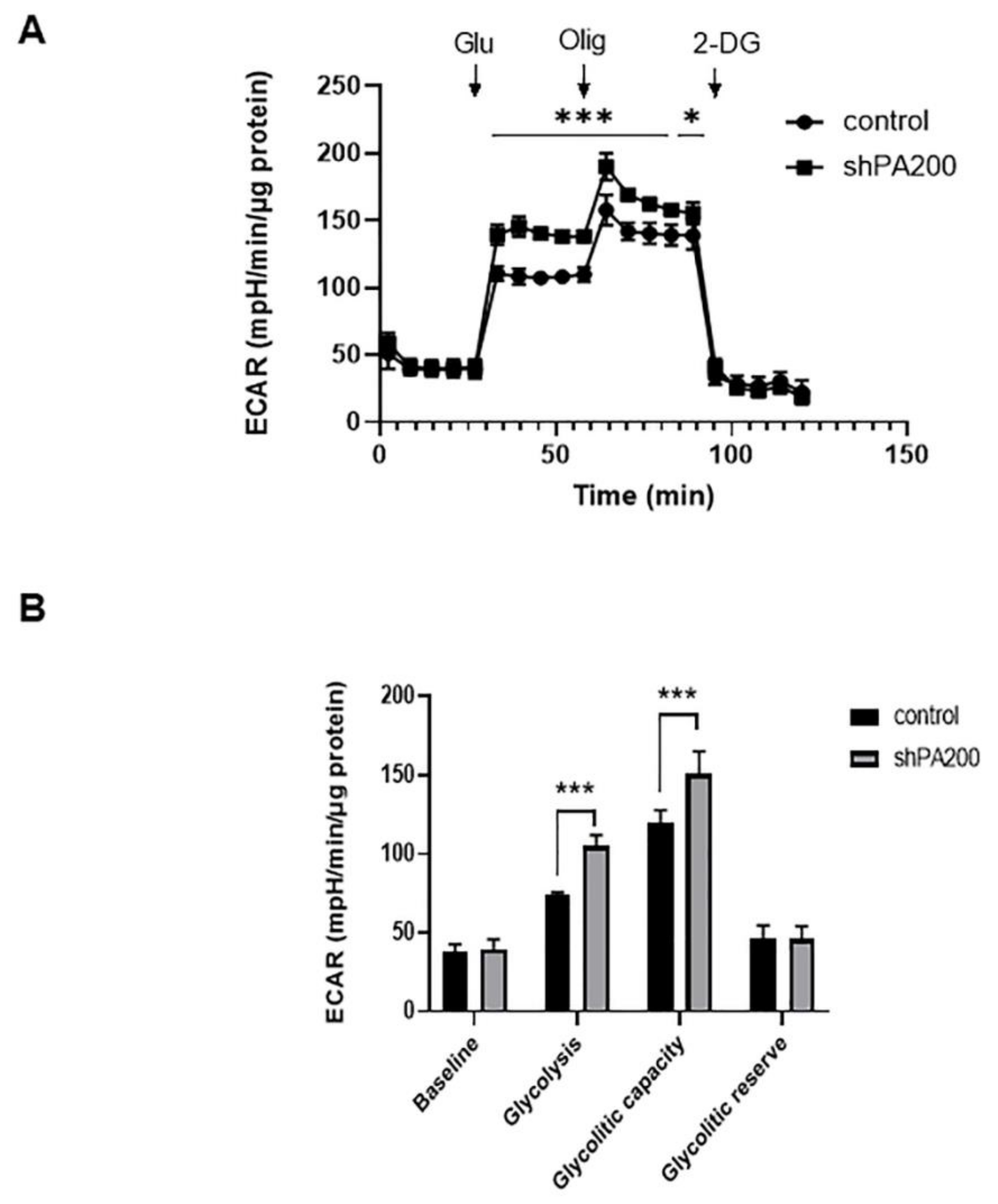 Ijms 22 01629 g004 Ijms 22 01629 g004