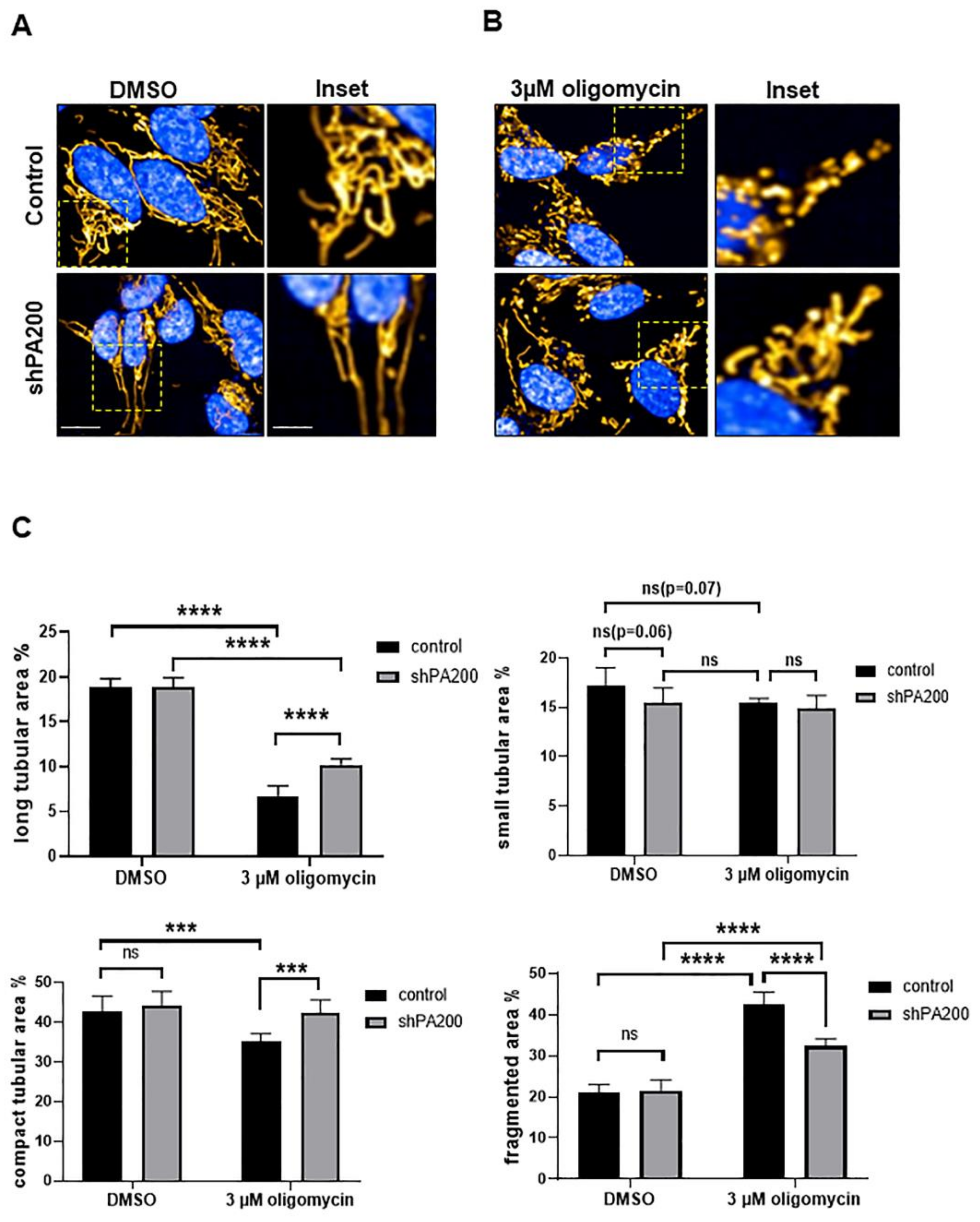 Ijms 22 01629 g006 Ijms 22 01629 g006