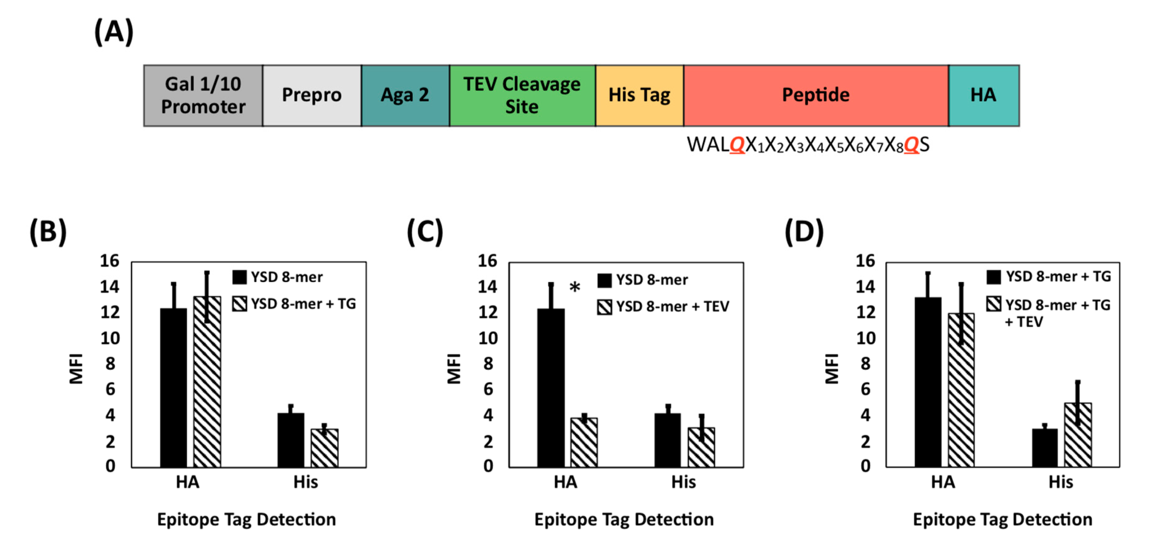 Ijms 22 01634 g003 Ijms 22 01634 g003
