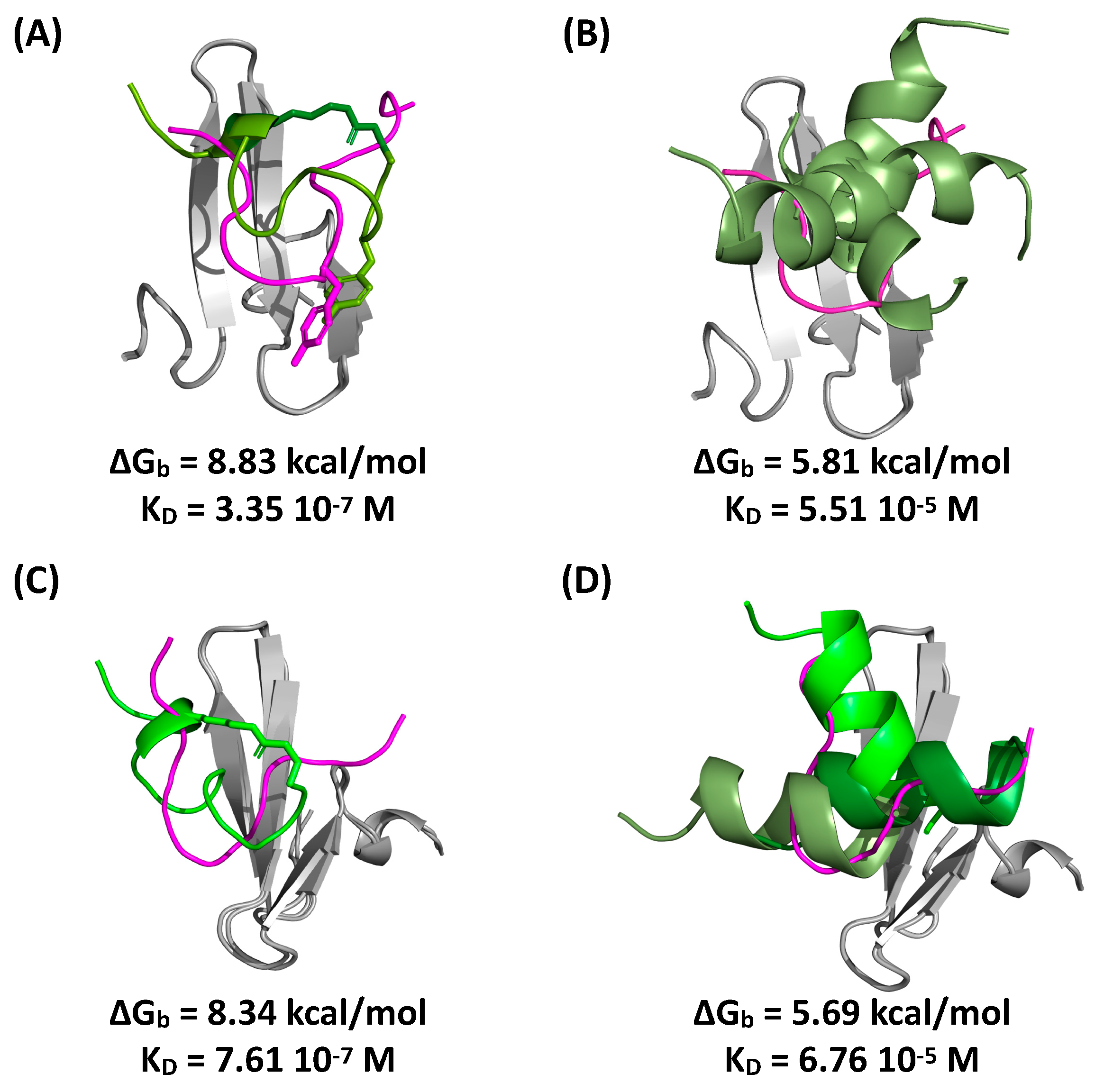 Ijms 22 01634 g006 Ijms 22 01634 g006