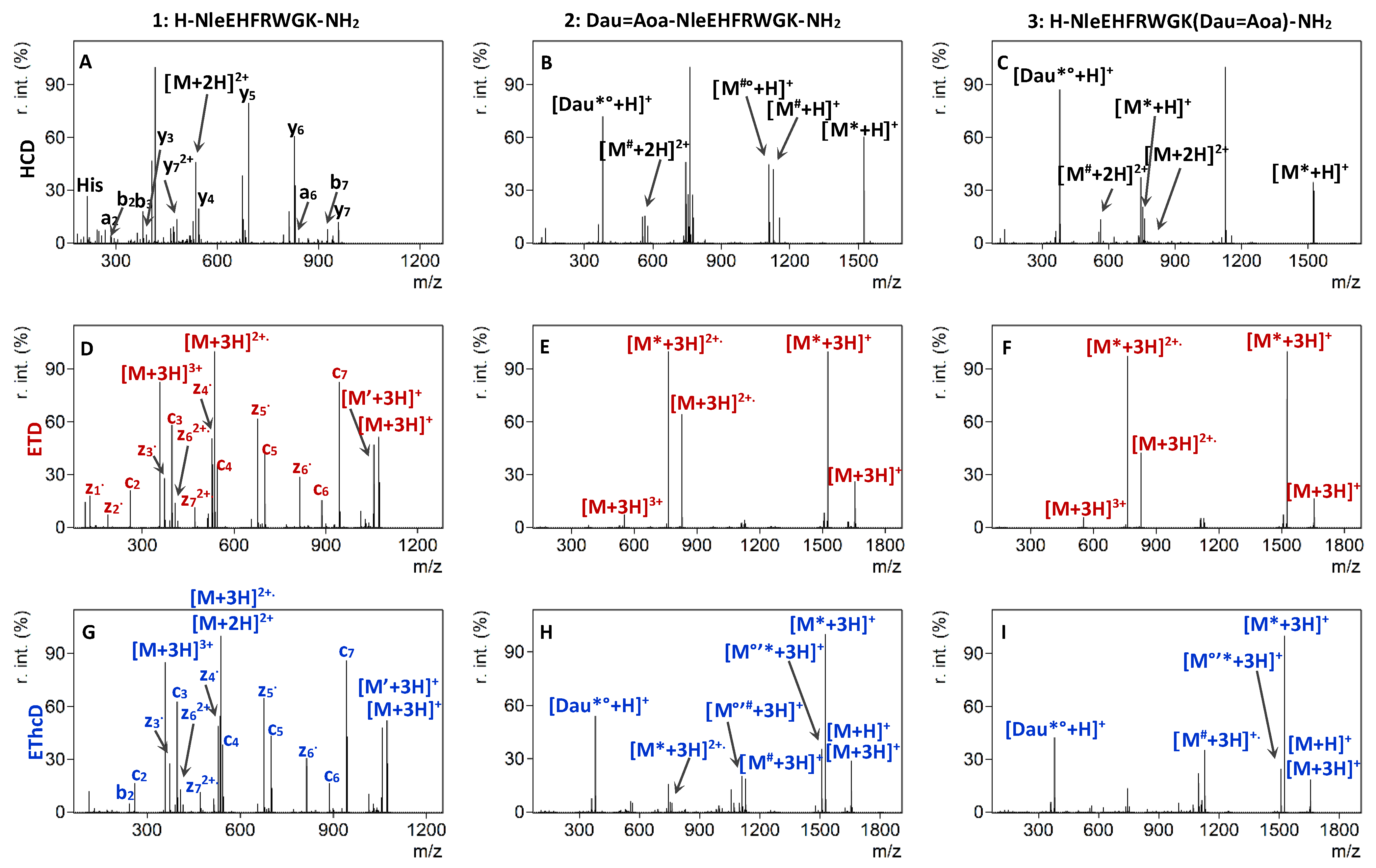 Ijms Free Full Text Structural Characterization Of Daunomycin Peptide Conjugates By Various Tandem Mass Spectrometric Techniques Html