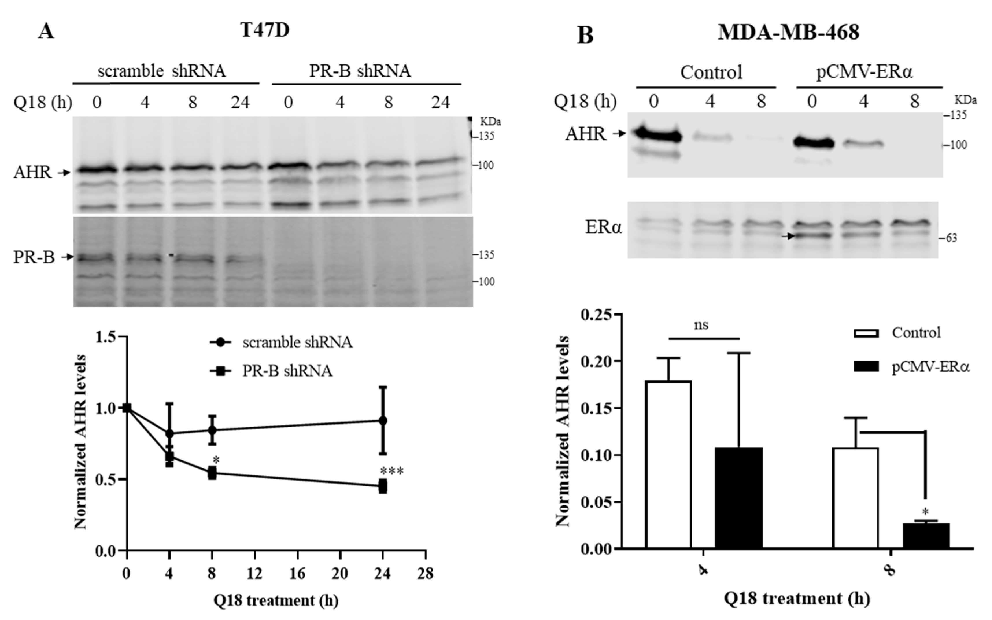 Ijms 22 01654 g002a Ijms 22 01654 g002a
