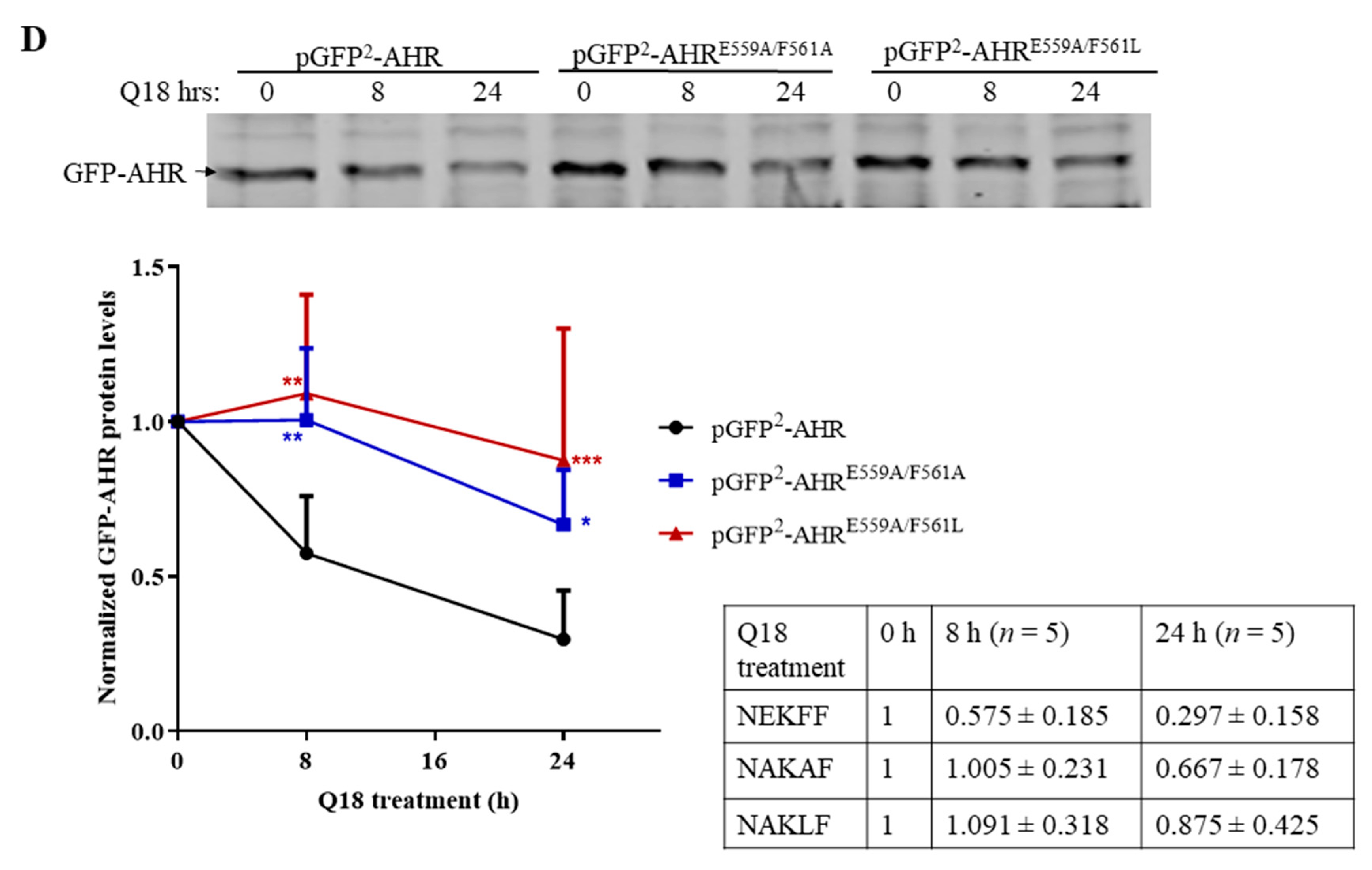 Ijms 22 01654 g007b Ijms 22 01654 g007b