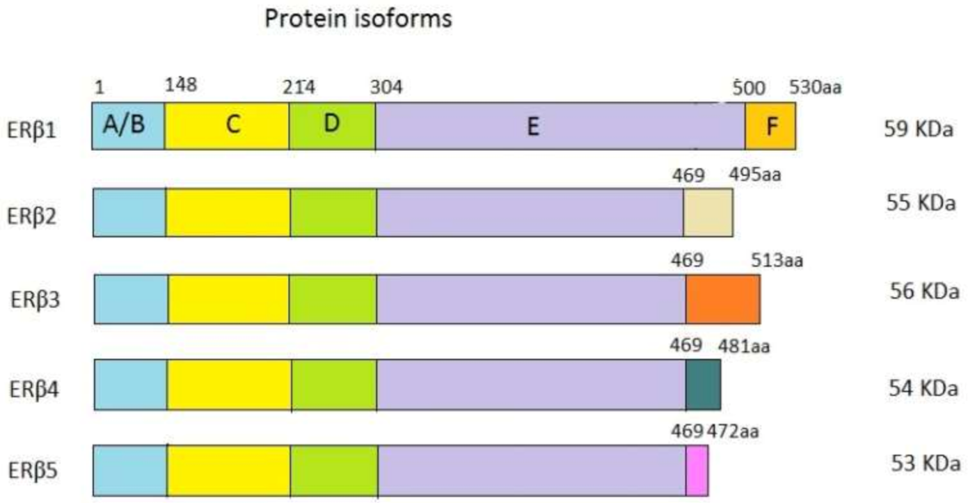 Ijms 22 01656 g002 Ijms 22 01656 g002