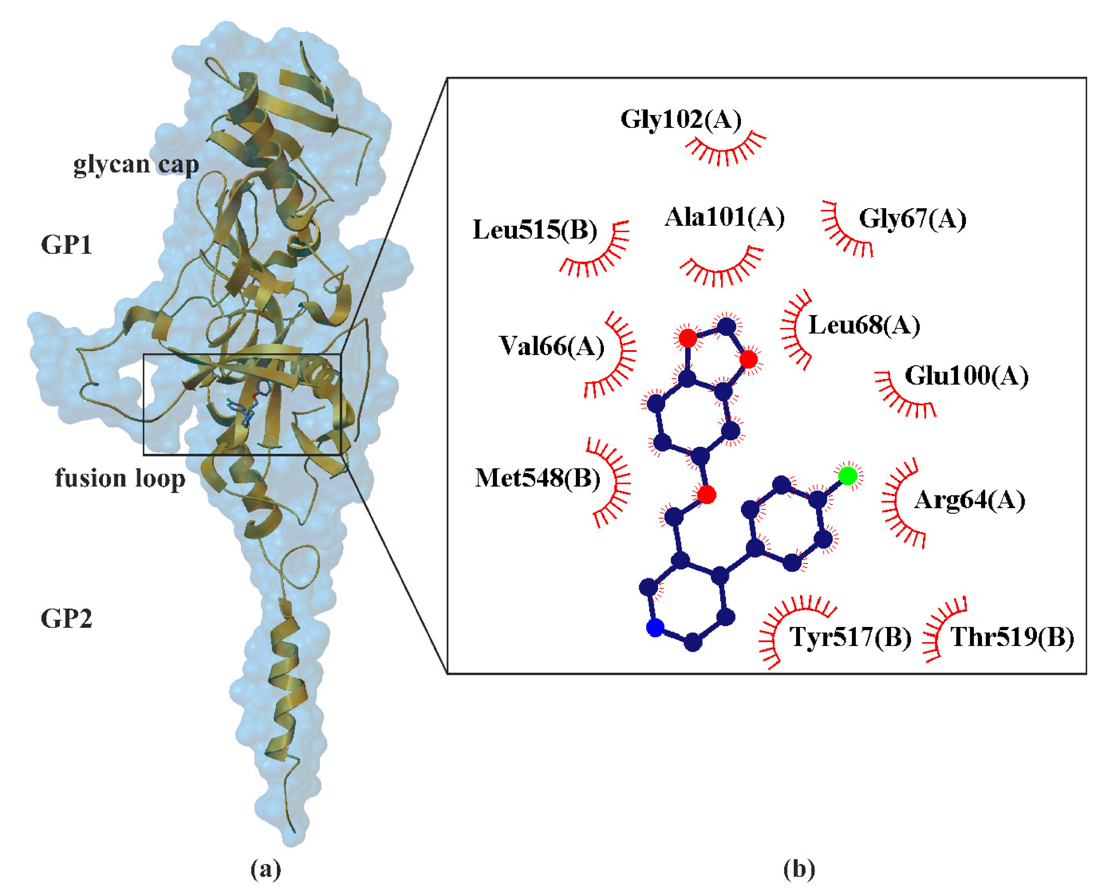 Ijms 22 01662 g005 Ijms 22 01662 g005